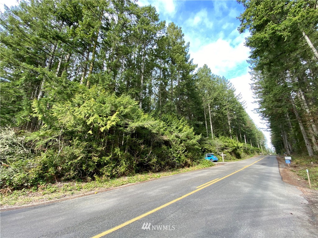 0 Olympic View Loop Road Northwest Silverdale, WA 98383 - Photo 10 of 28 Gallery Image 10
