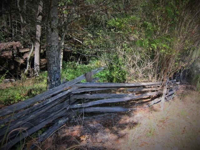 14 Wallace Hollow Road Lindside, WV 24951 - Photo 69 of 89 Gallery Image 69