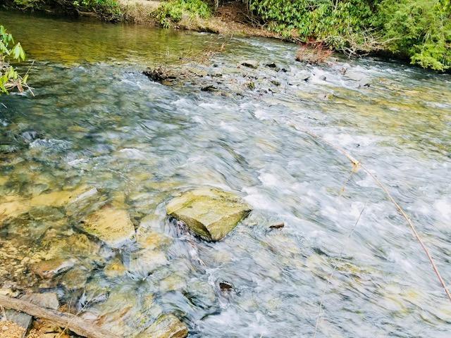Eroh Road Crossville, TN 38571 - Photo 10 of 12 Eroh Rd- Creek 3