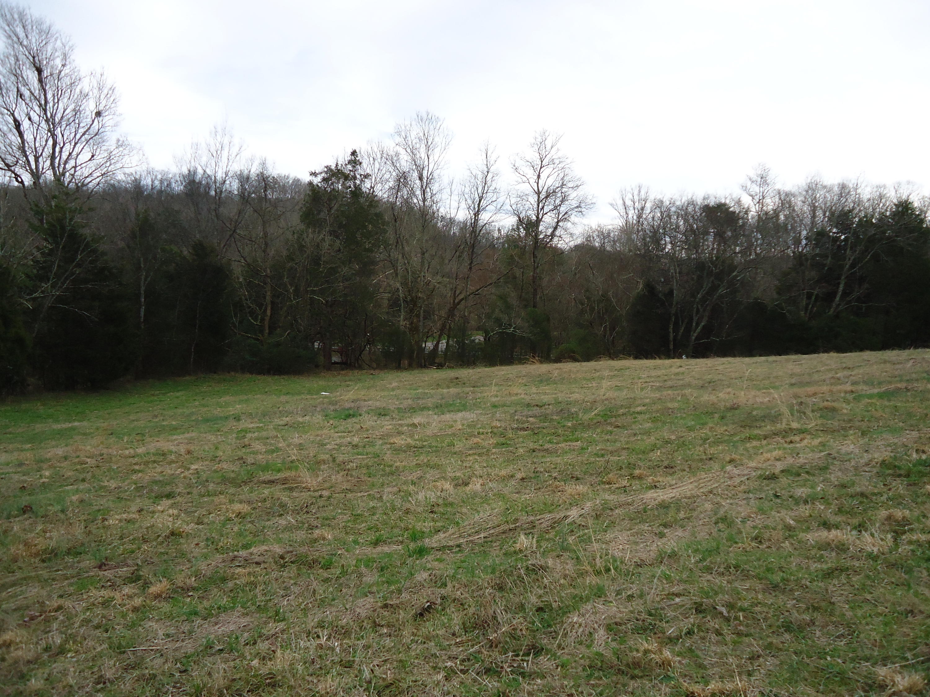 3909 Sweetwater Vonore Road Philadelphia, TN 37846 - Photo 12 of 34 DSC07416
