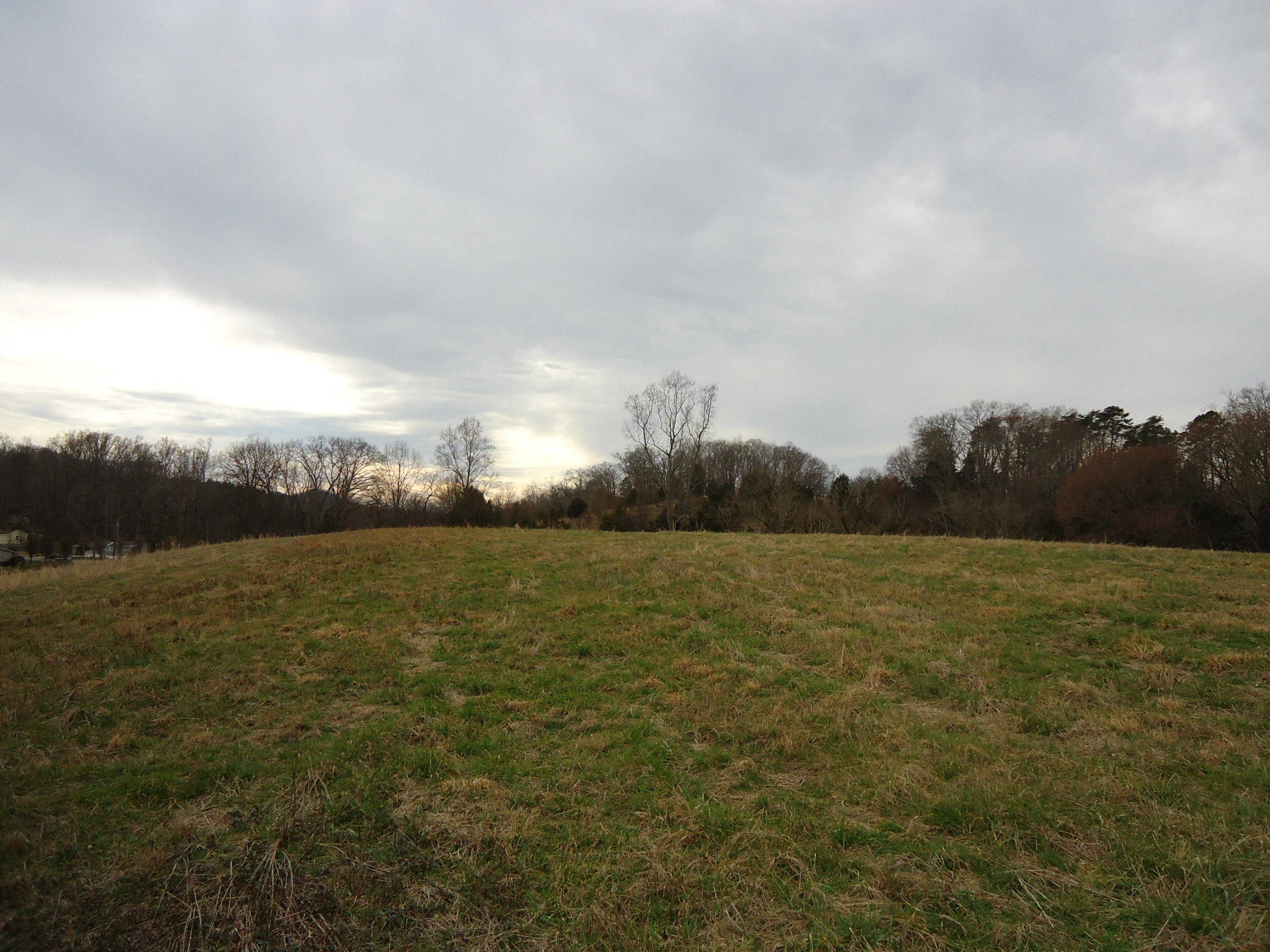 3909 Sweetwater Vonore Road Philadelphia, TN 37846 - Photo 14 of 34 DSC07418