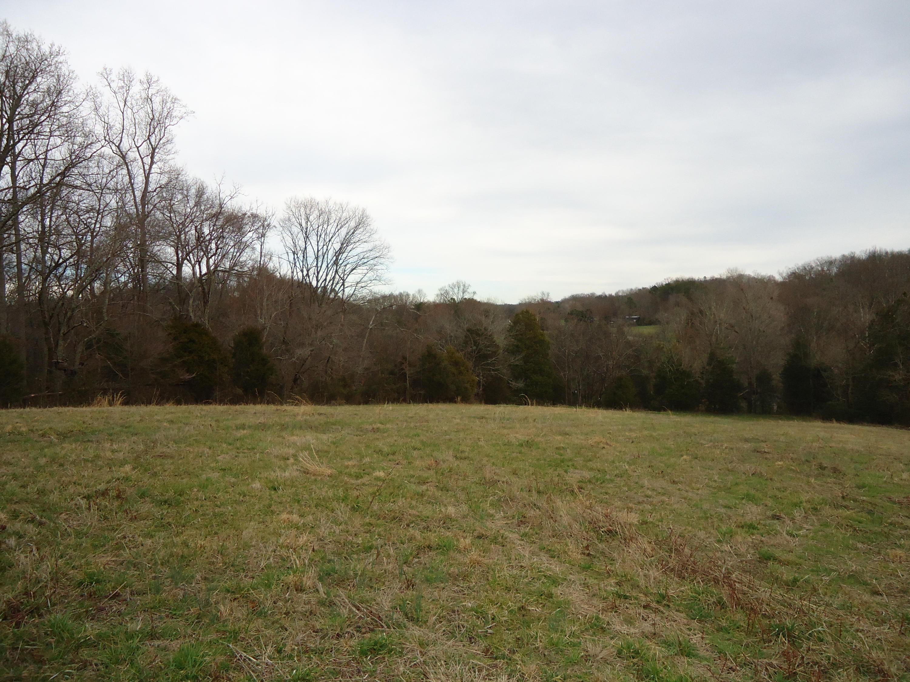 3909 Sweetwater Vonore Road Philadelphia, TN 37846 - Photo 15 of 34 DSC07419