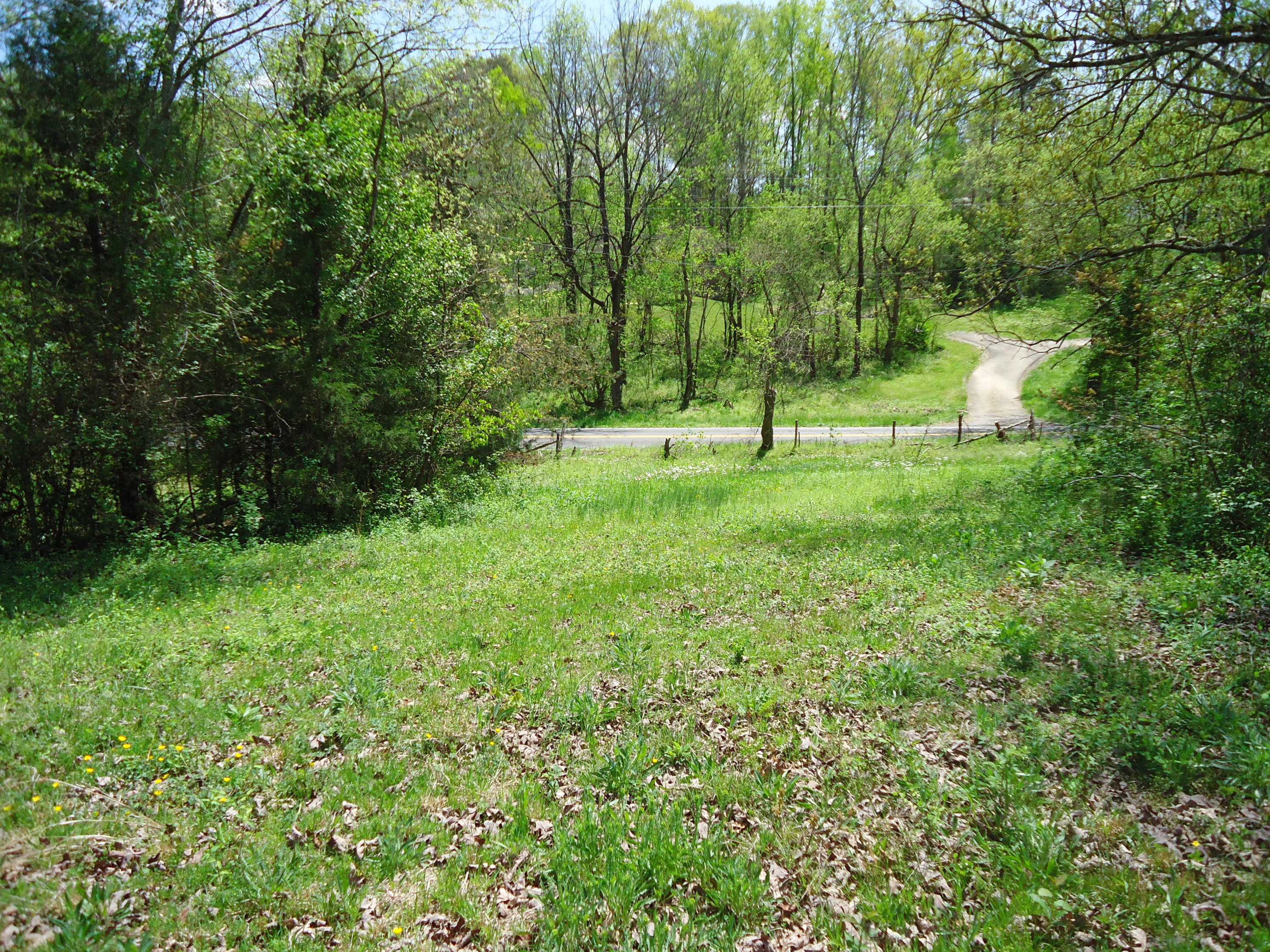 3909 Sweetwater Vonore Road Philadelphia, TN 37846 - Photo 21 of 34 DSC07685
