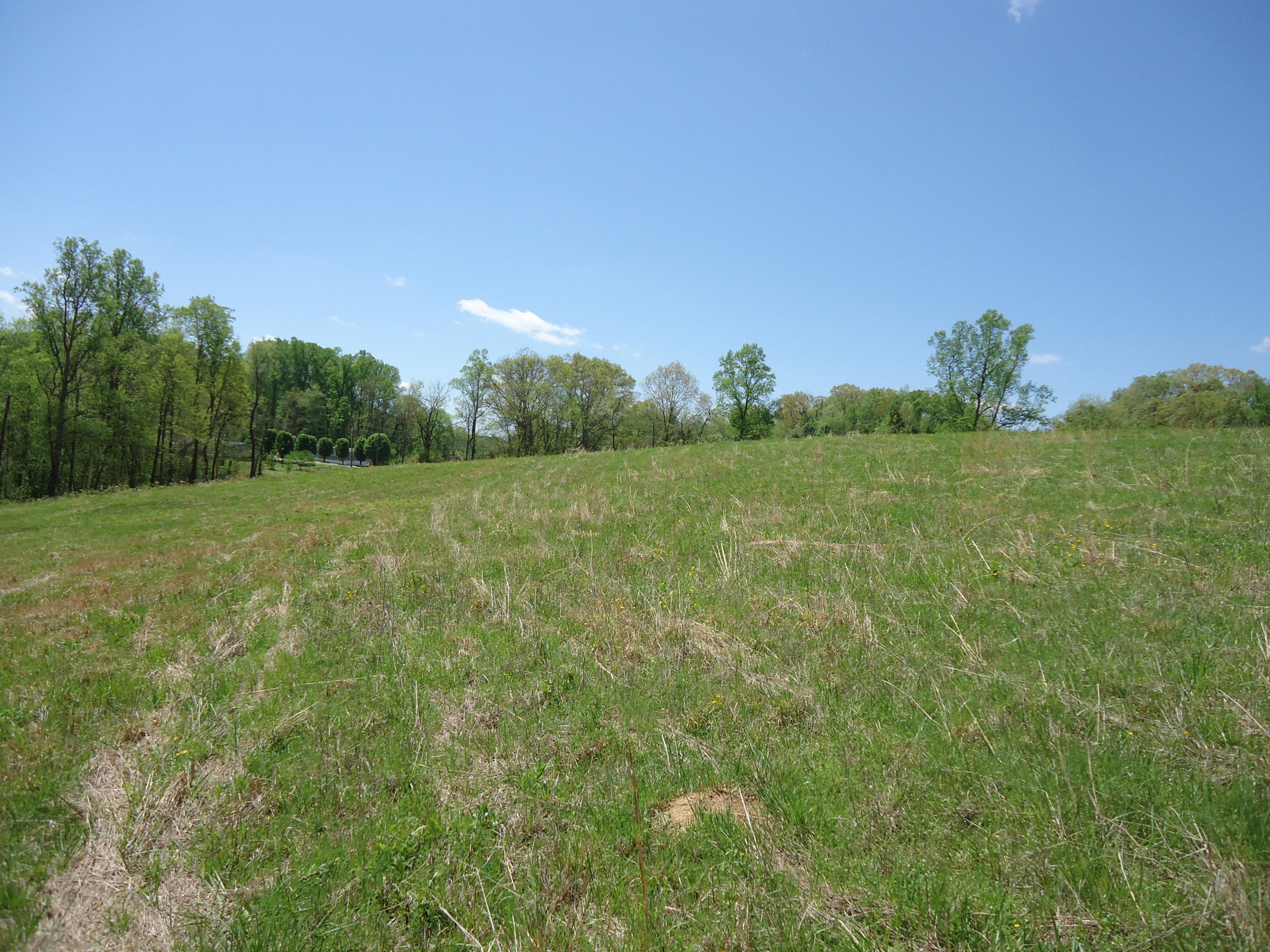 3909 Sweetwater Vonore Road Philadelphia, TN 37846 - Photo 23 of 34 DSC07687