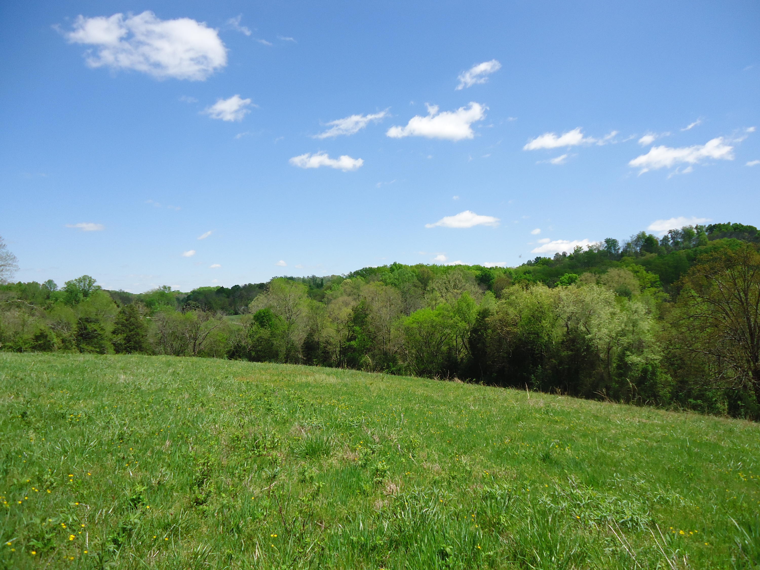 3909 Sweetwater Vonore Road Philadelphia, TN 37846 - Photo 24 of 34 DSC07688