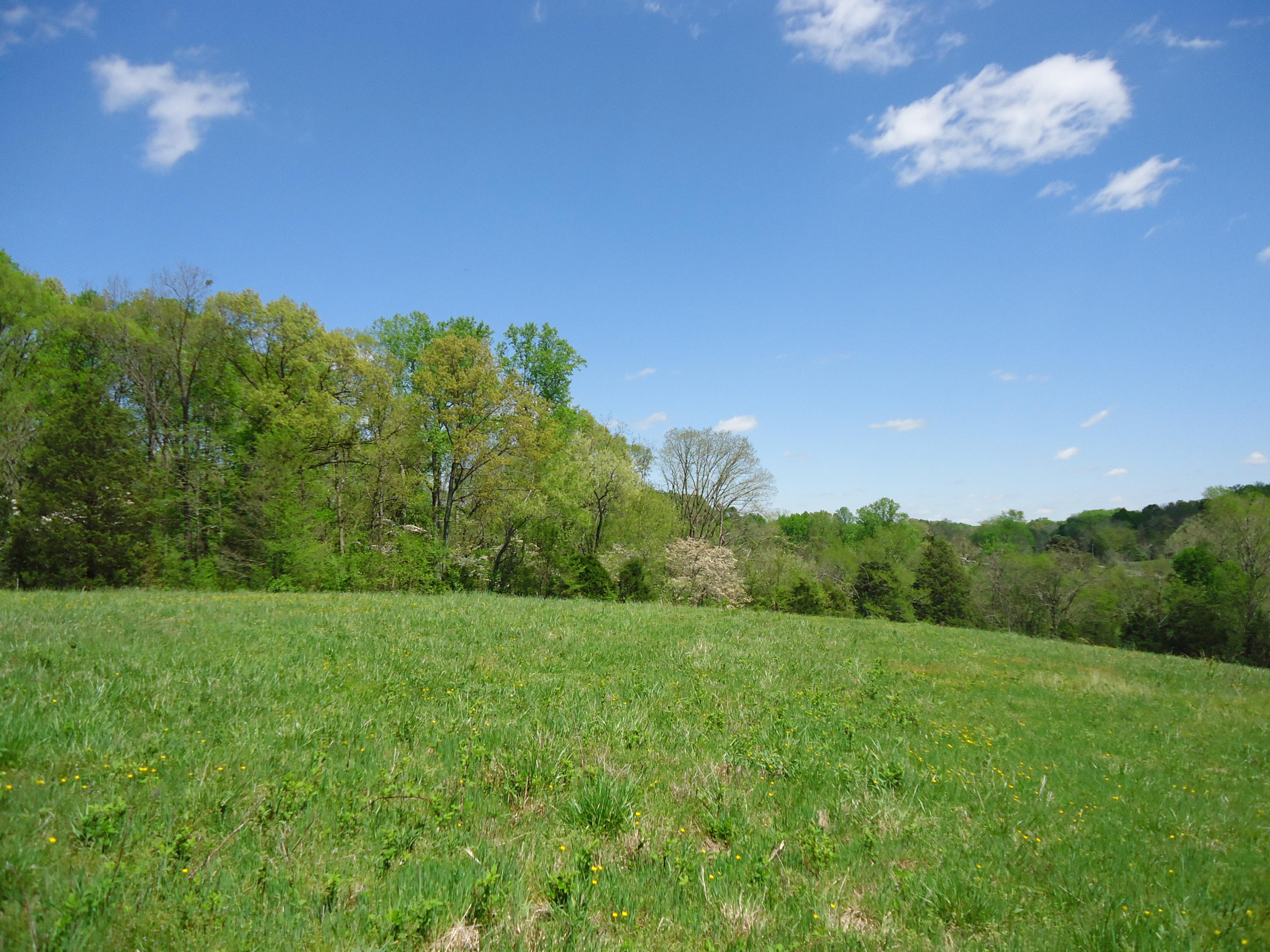 3909 Sweetwater Vonore Road Philadelphia, TN 37846 - Photo 25 of 34 DSC07689