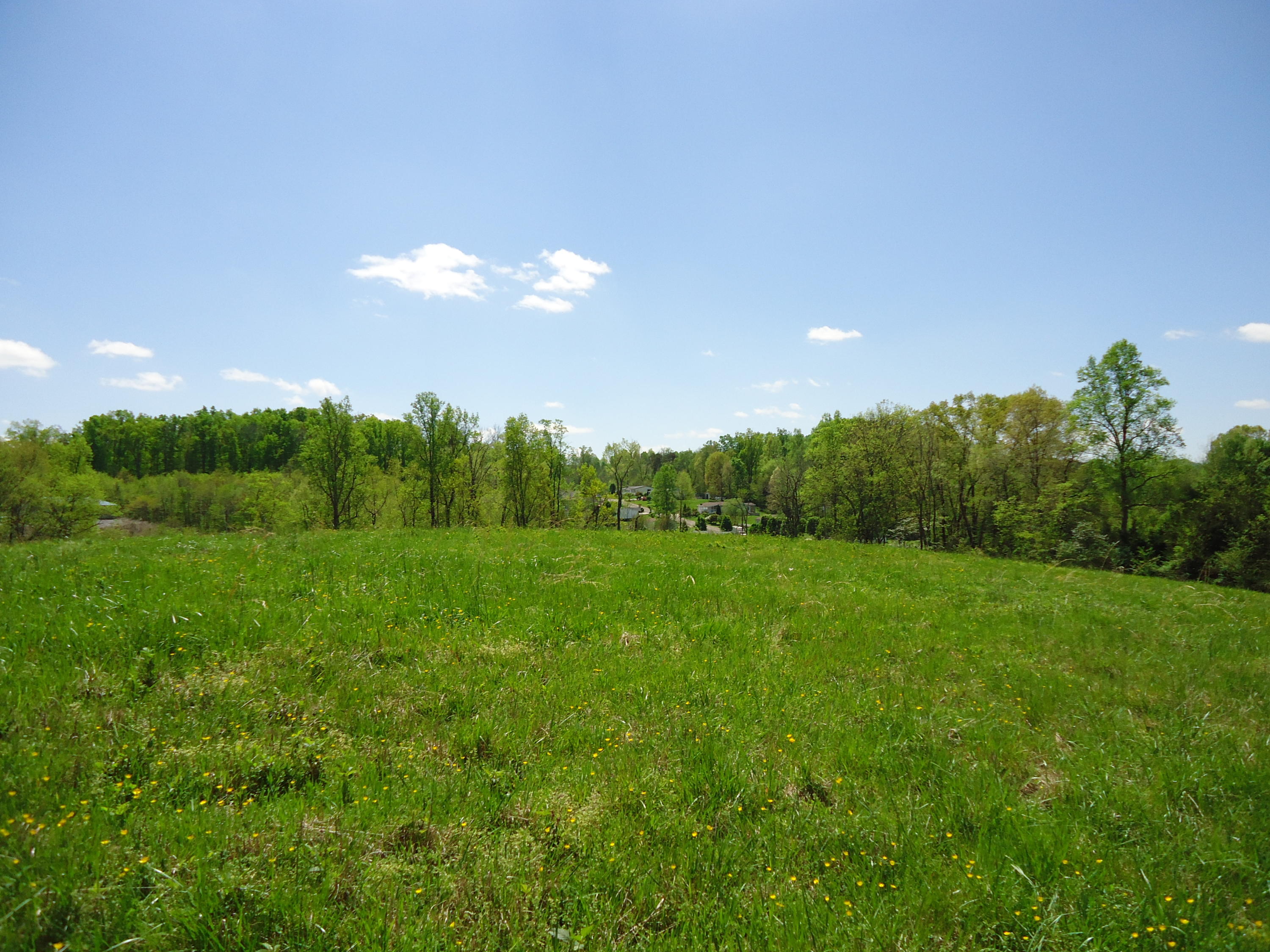 3909 Sweetwater Vonore Road Philadelphia, TN 37846 - Photo 26 of 34 DSC07690