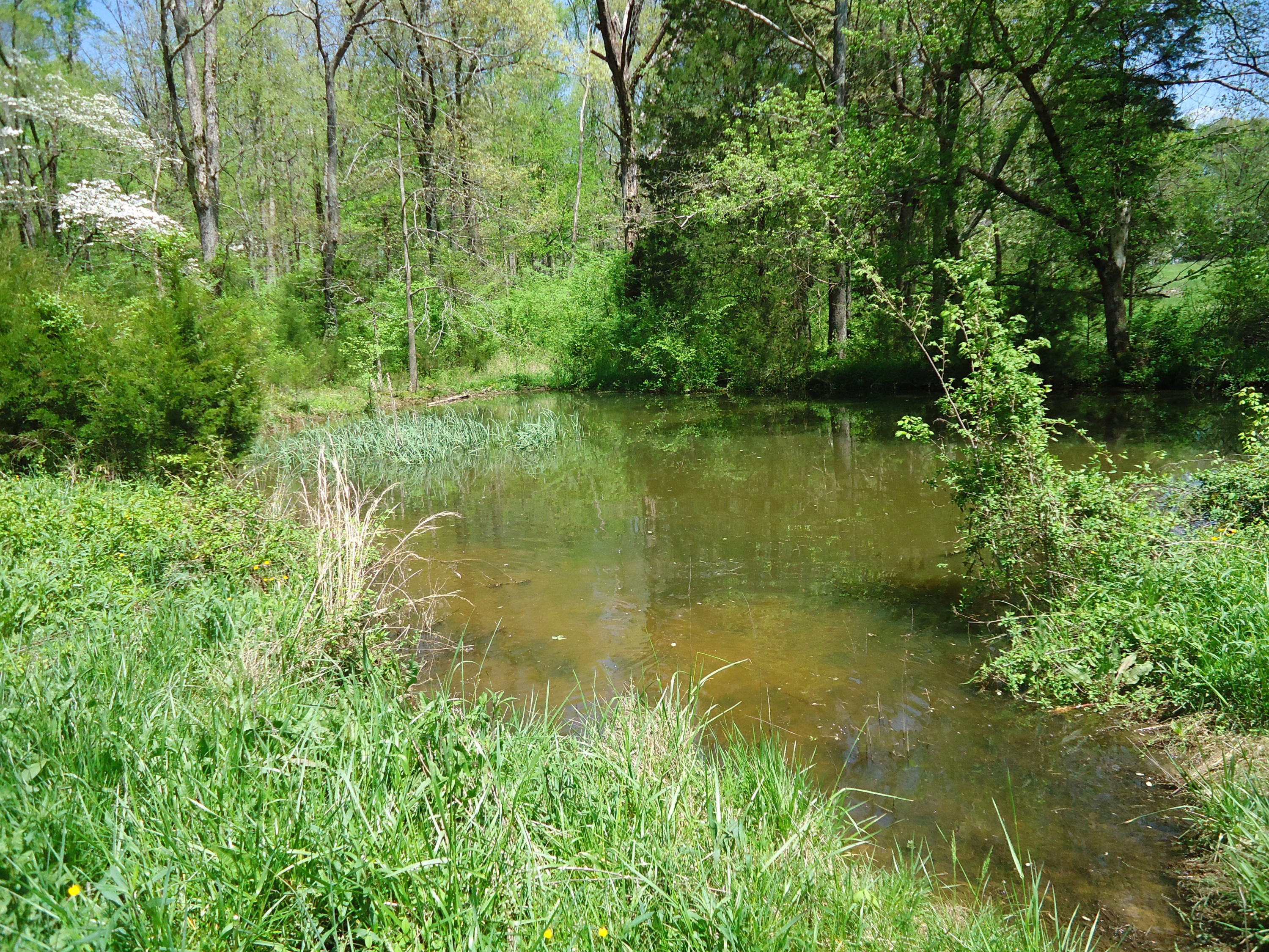 3909 Sweetwater Vonore Road Philadelphia, TN 37846 - Photo 29 of 34 DSC07693