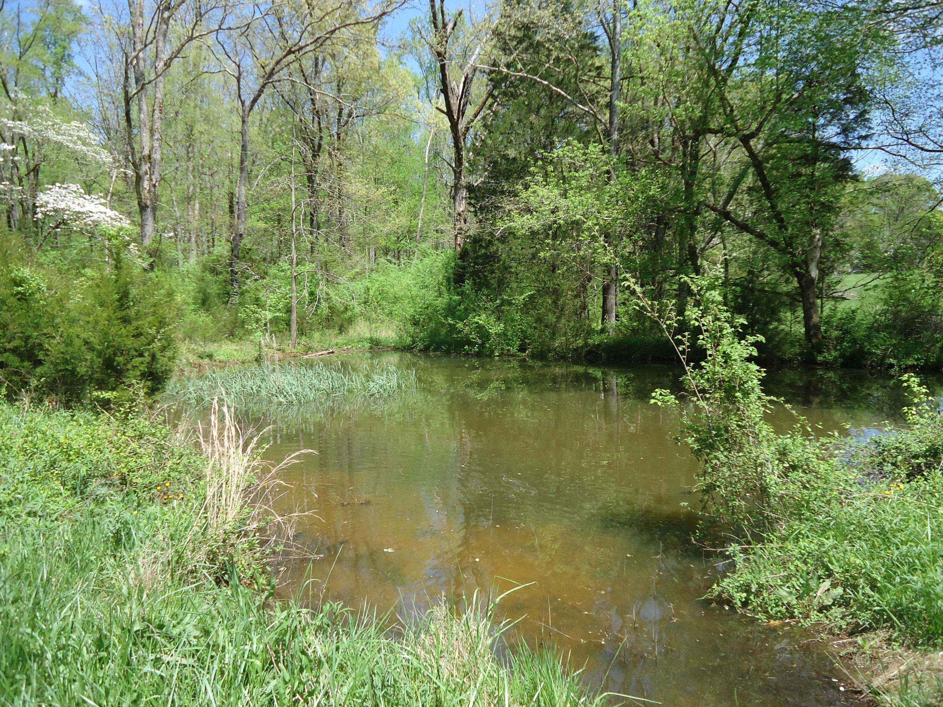 3909 Sweetwater Vonore Road Philadelphia, TN 37846 - Photo 30 of 34 DSC07694