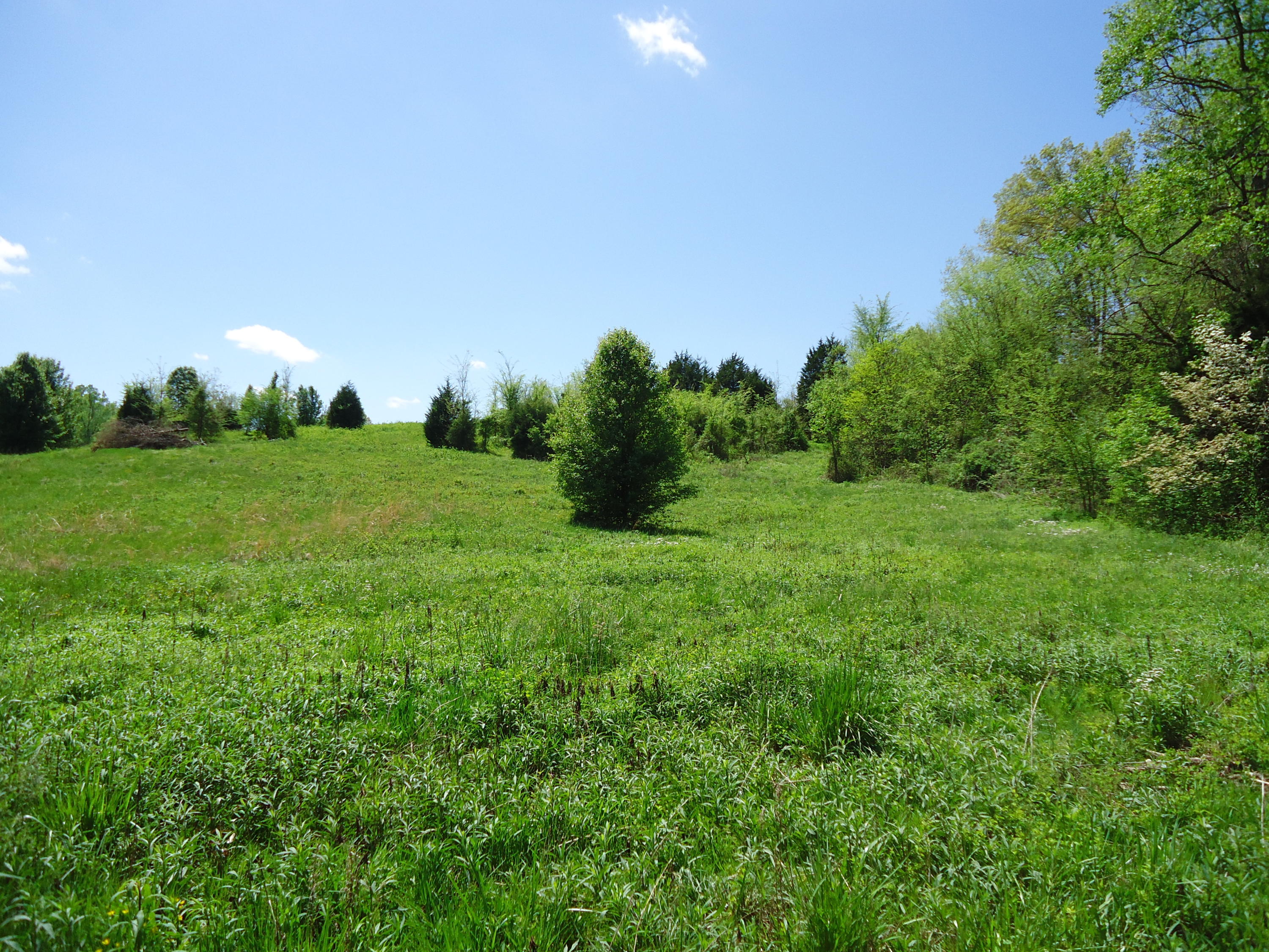 3909 Sweetwater Vonore Road Philadelphia, TN 37846 - Photo 32 of 34 DSC07696