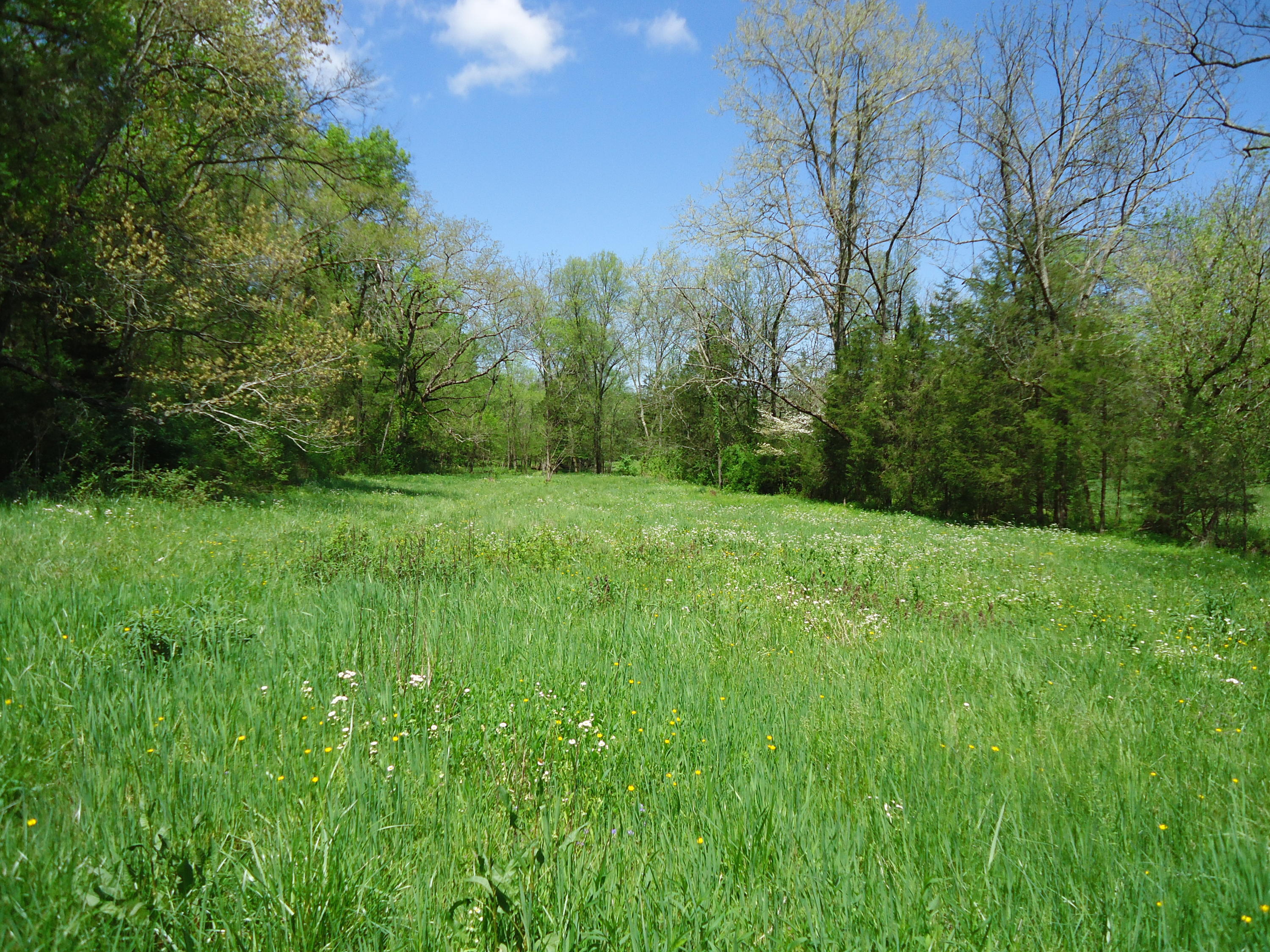 3909 Sweetwater Vonore Road Philadelphia, TN 37846 - Photo 33 of 34 DSC07697