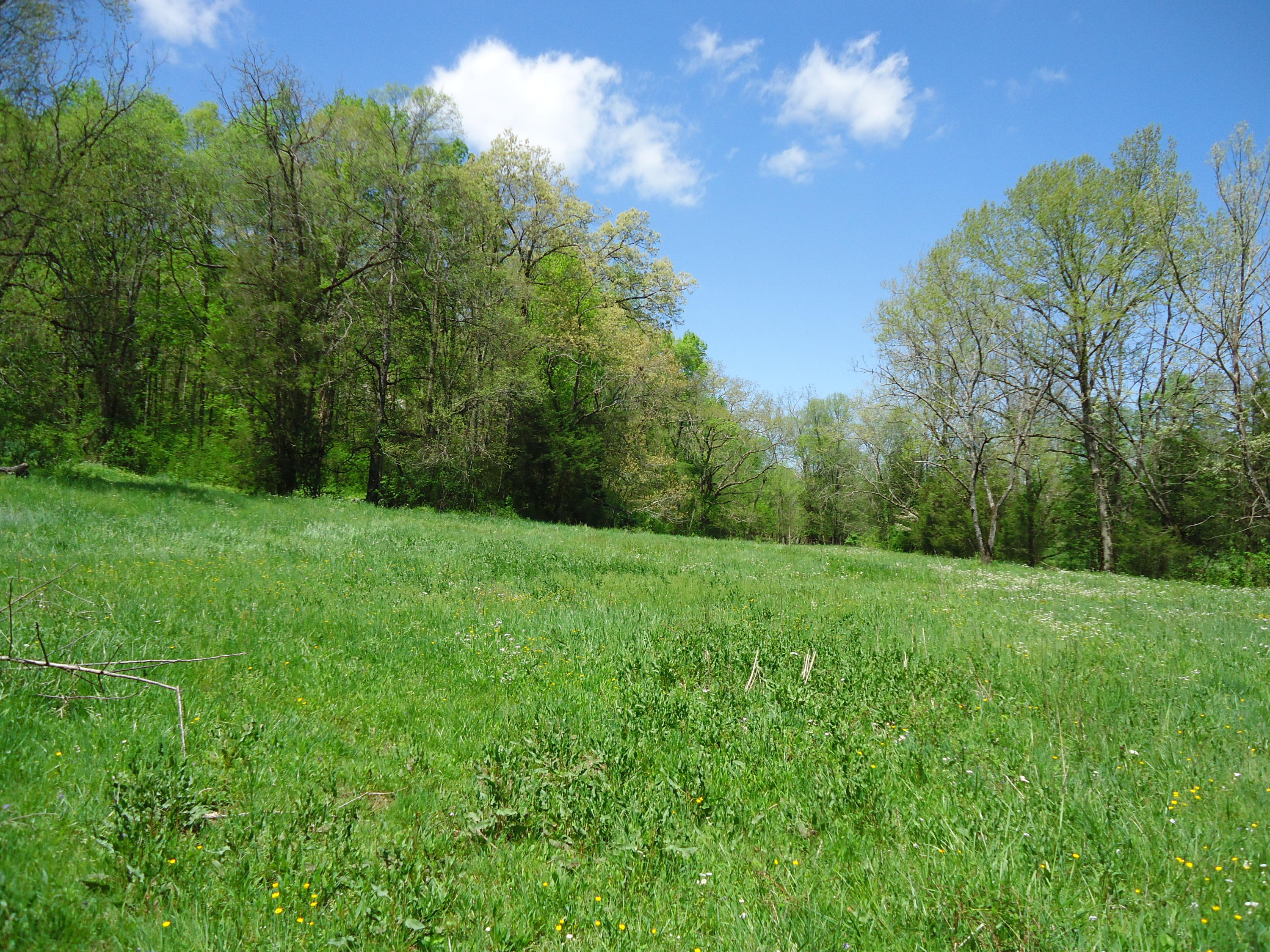 3909 Sweetwater Vonore Road Philadelphia, TN 37846 - Photo 34 of 34 DSC07698