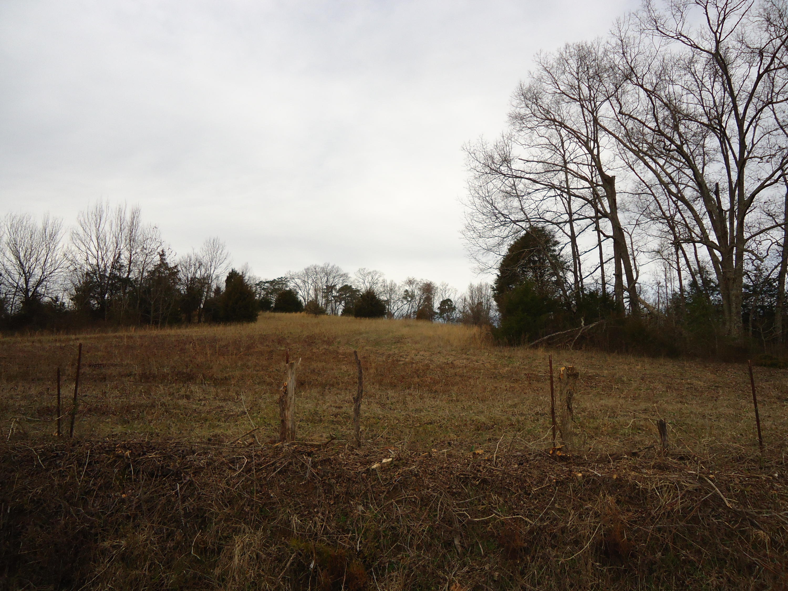 3909 Sweetwater Vonore Road Philadelphia, TN 37846 - Photo 10 of 34 DSC07401