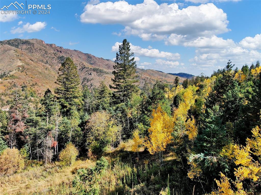 5260 Kulsa Road Cascade, CO 80809 - Photo 10 of 11 Property view of mountains