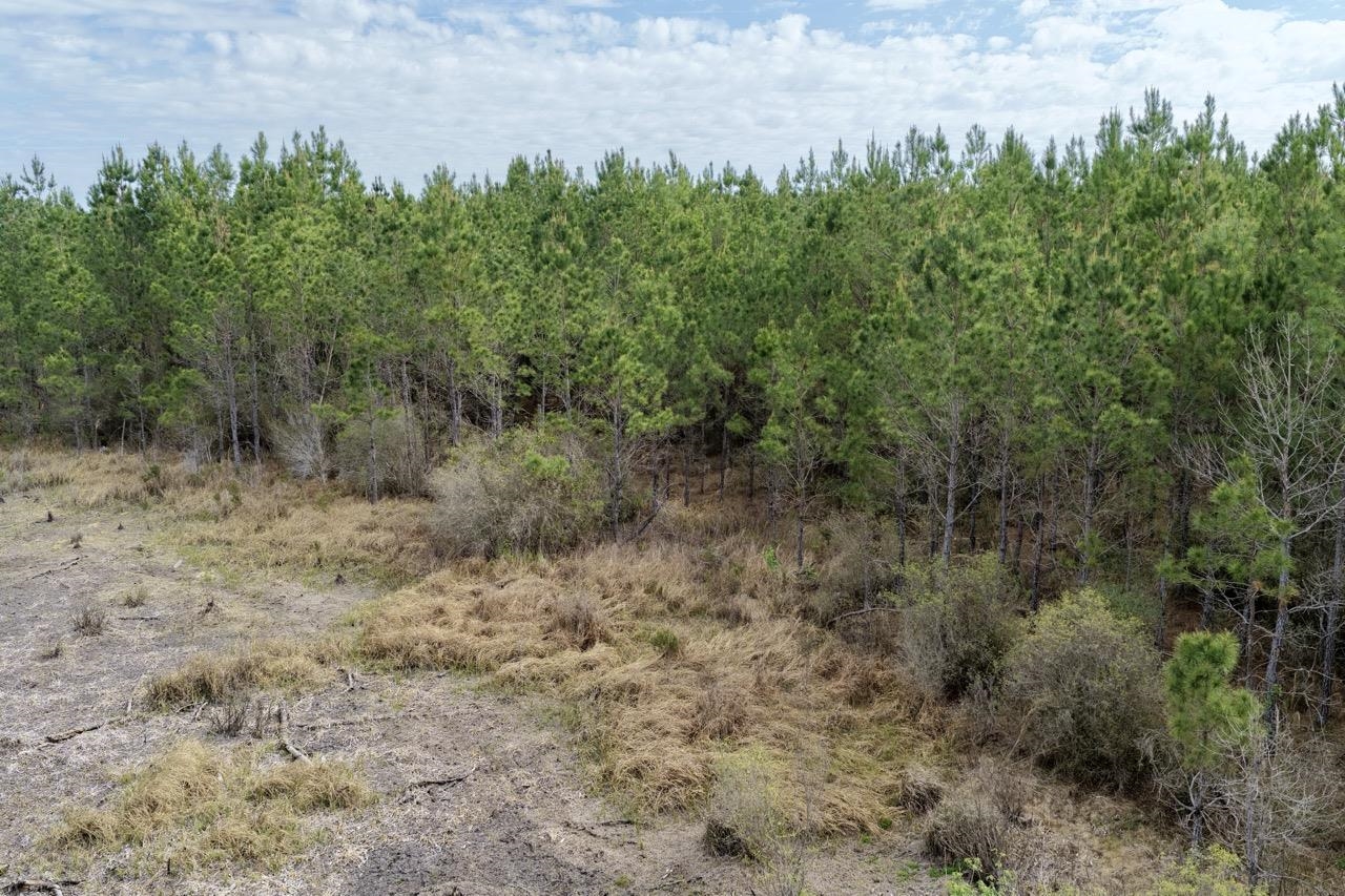 Vacant Southwest Vacant Sw Captain Brown Road Madison, FL 32340 - Photo 19 of 37