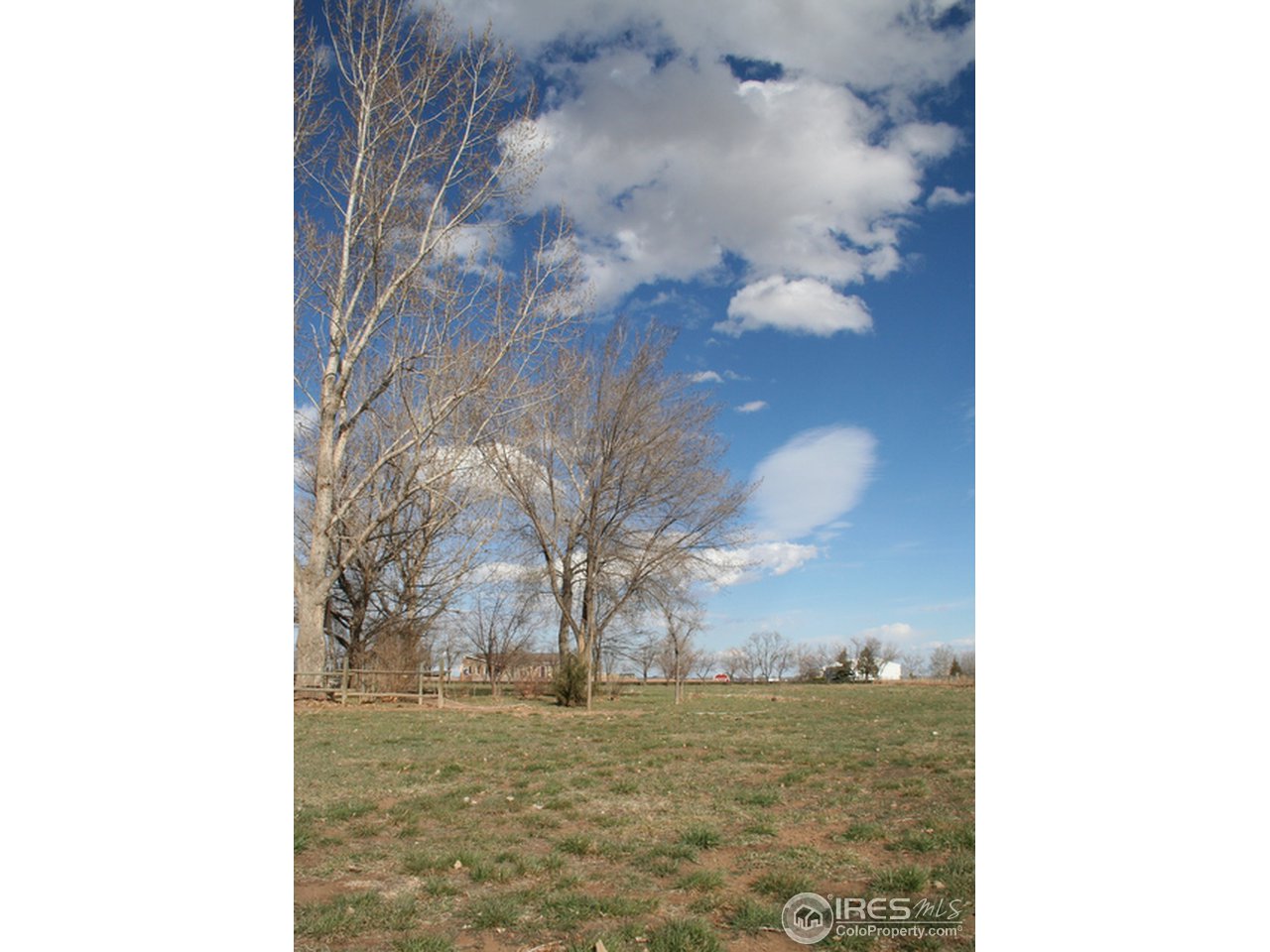 5237 Strauss Cabin Road Fort Collins, CO 80528 - Photo 2 of 6