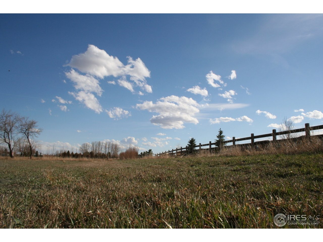 5237 Strauss Cabin Road Fort Collins, CO 80528 - Photo 4 of 6
