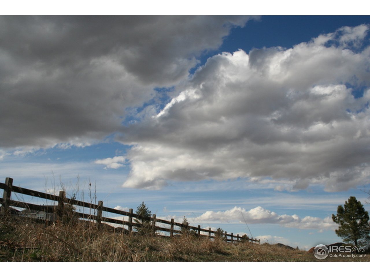 5237 Strauss Cabin Road Fort Collins, CO 80528 - Photo 6 of 6