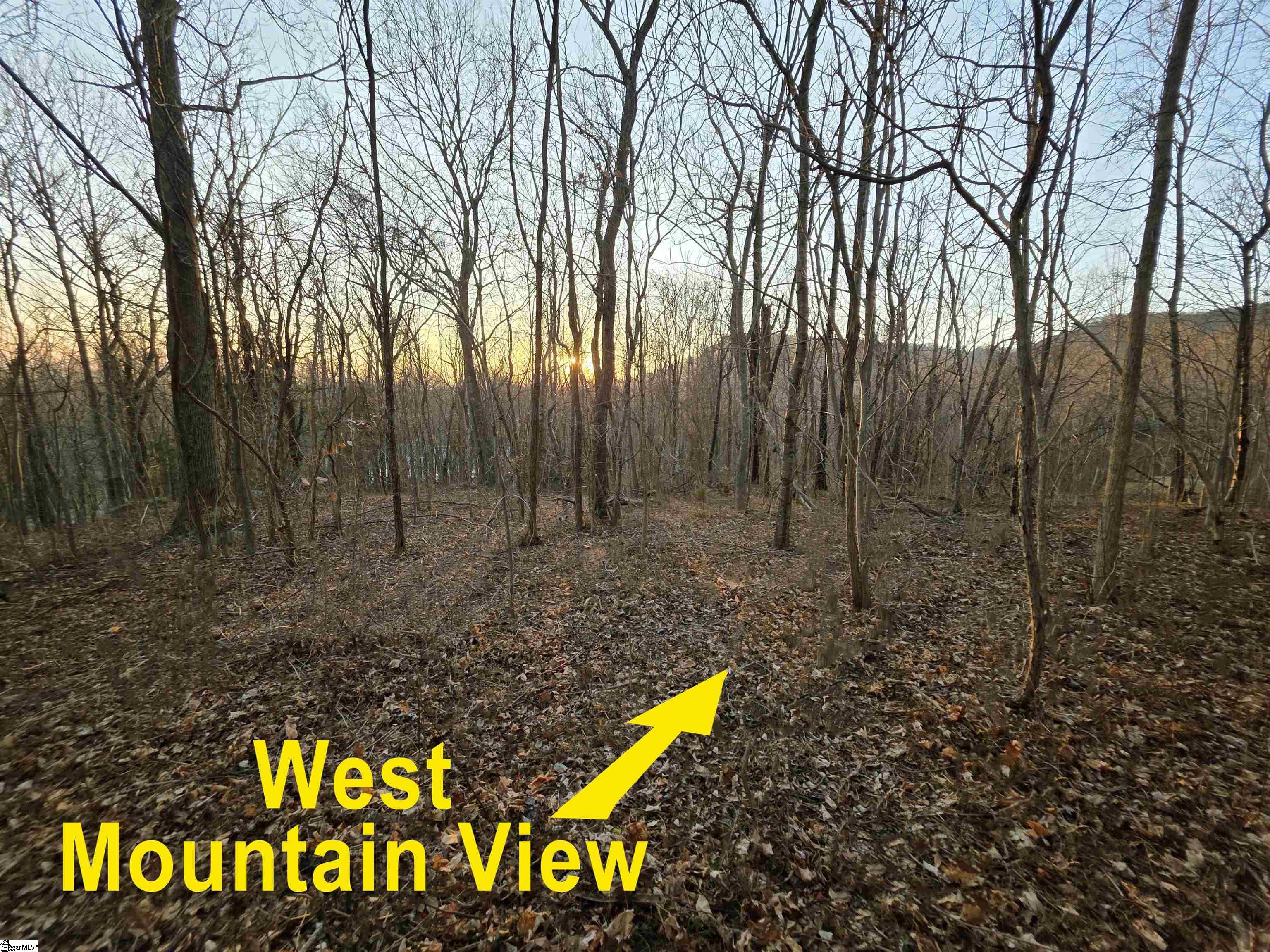 39 Raptor Way Landrum, SC 29356 - Photo 13 of 47