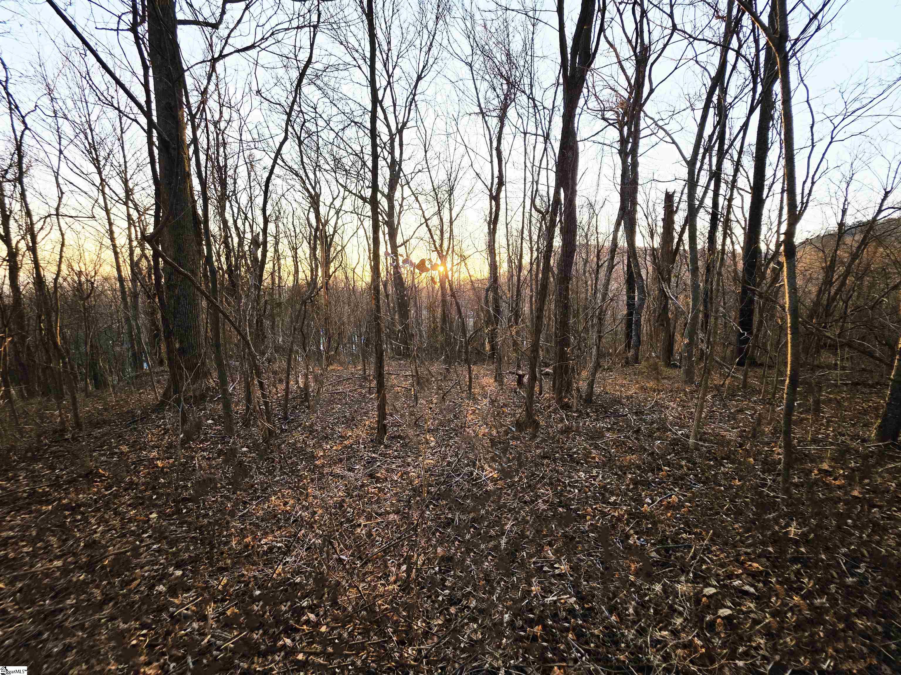 39 Raptor Way Landrum, SC 29356 - Photo 14 of 47