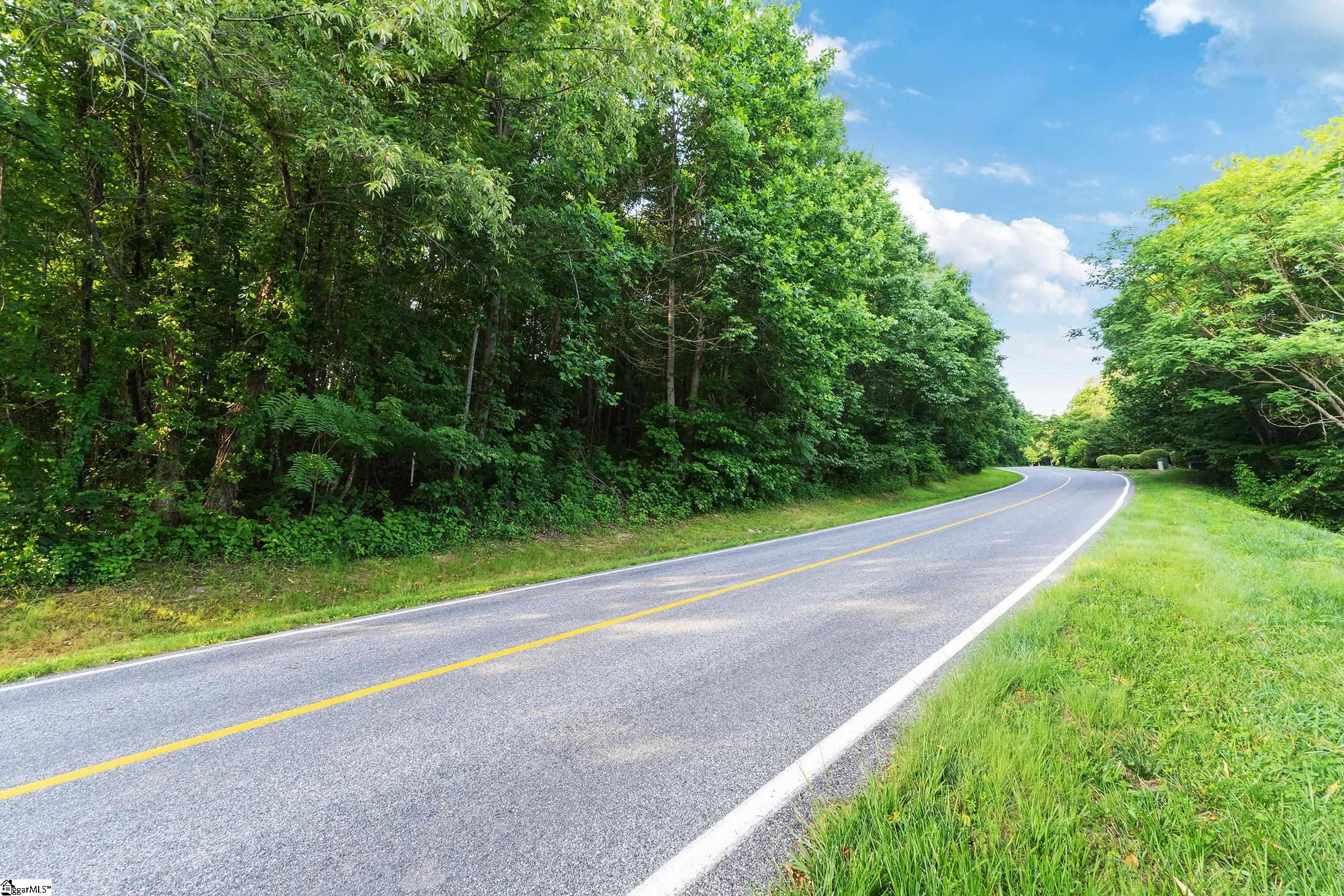 39 Raptor Way Landrum, SC 29356 - Photo 15 of 47