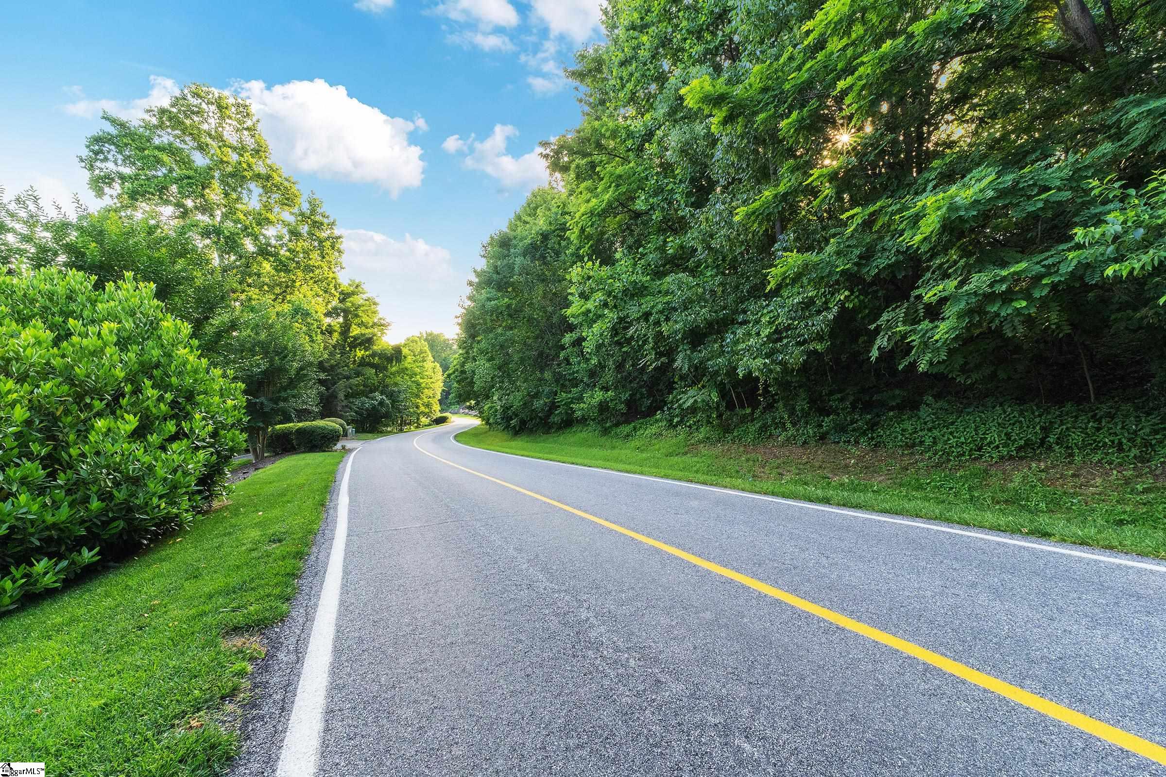 39 Raptor Way Landrum, SC 29356 - Photo 16 of 47