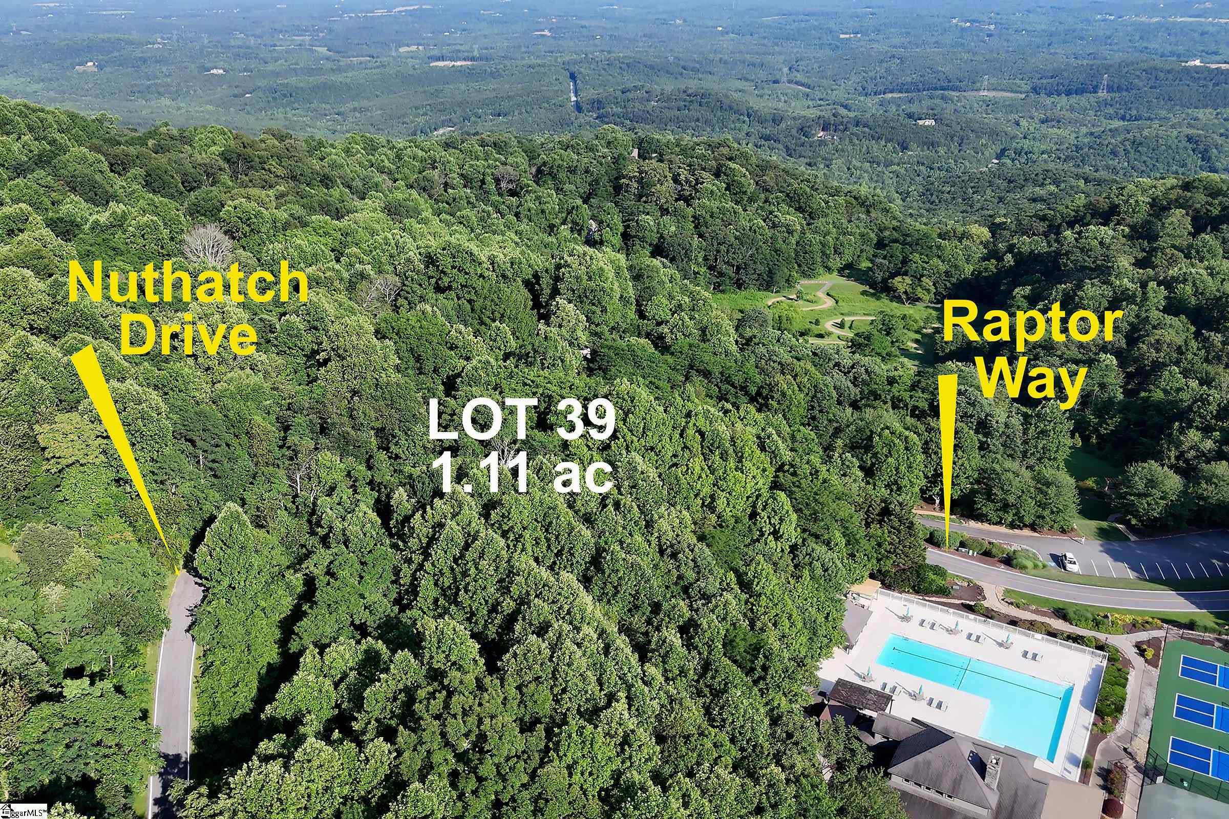 39 Raptor Way Landrum, SC 29356 - Photo 3 of 47