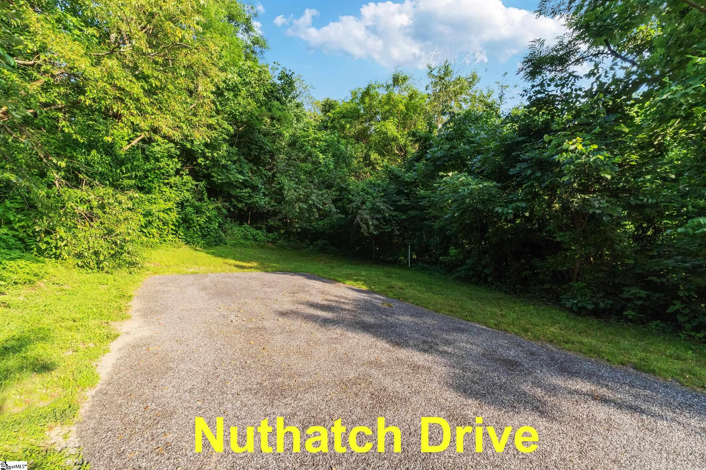 39 Raptor Way Landrum, SC 29356 - Photo 38 of 47