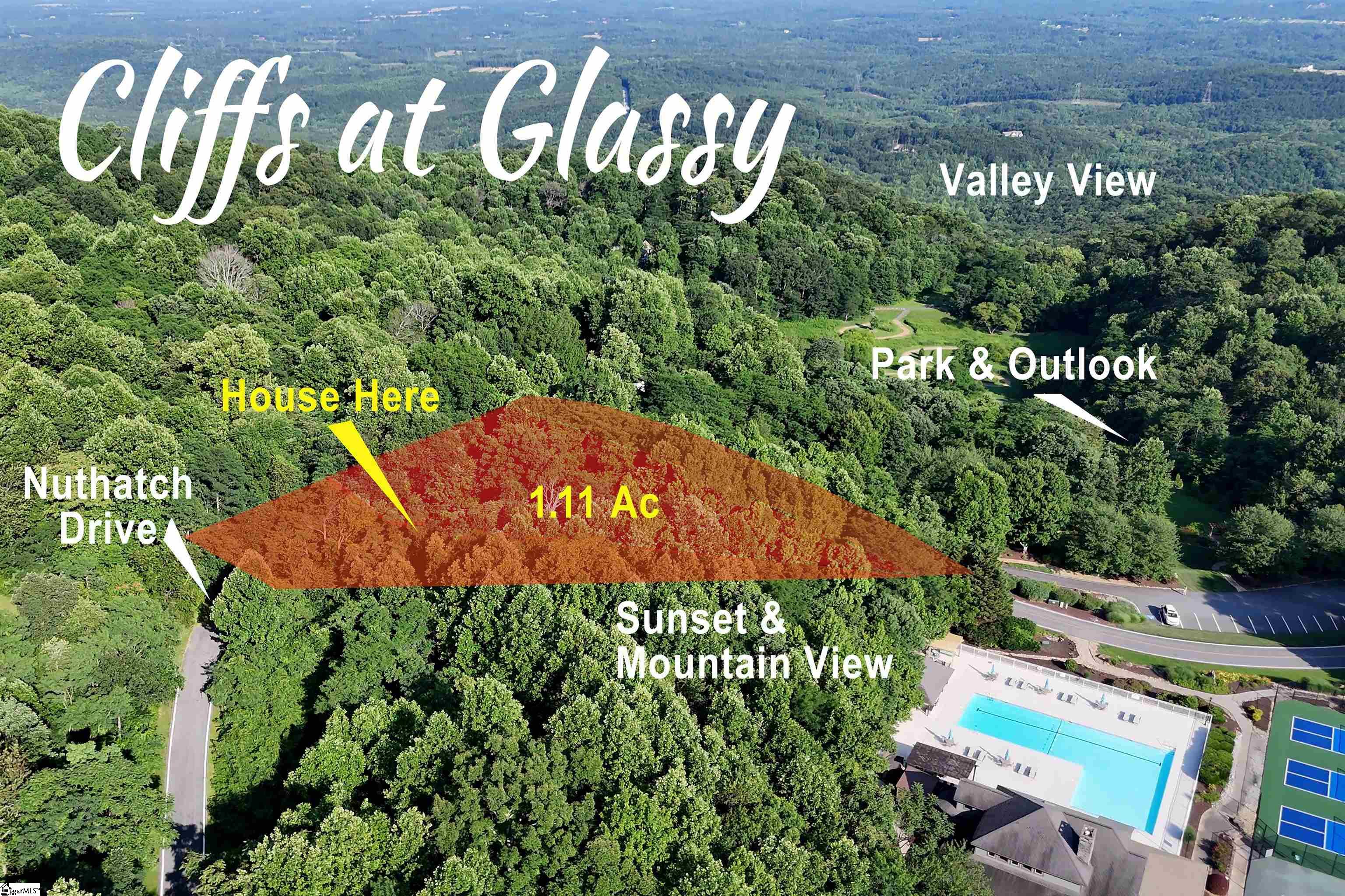 39 Raptor Way Landrum, SC 29356 - Photo 4 of 47