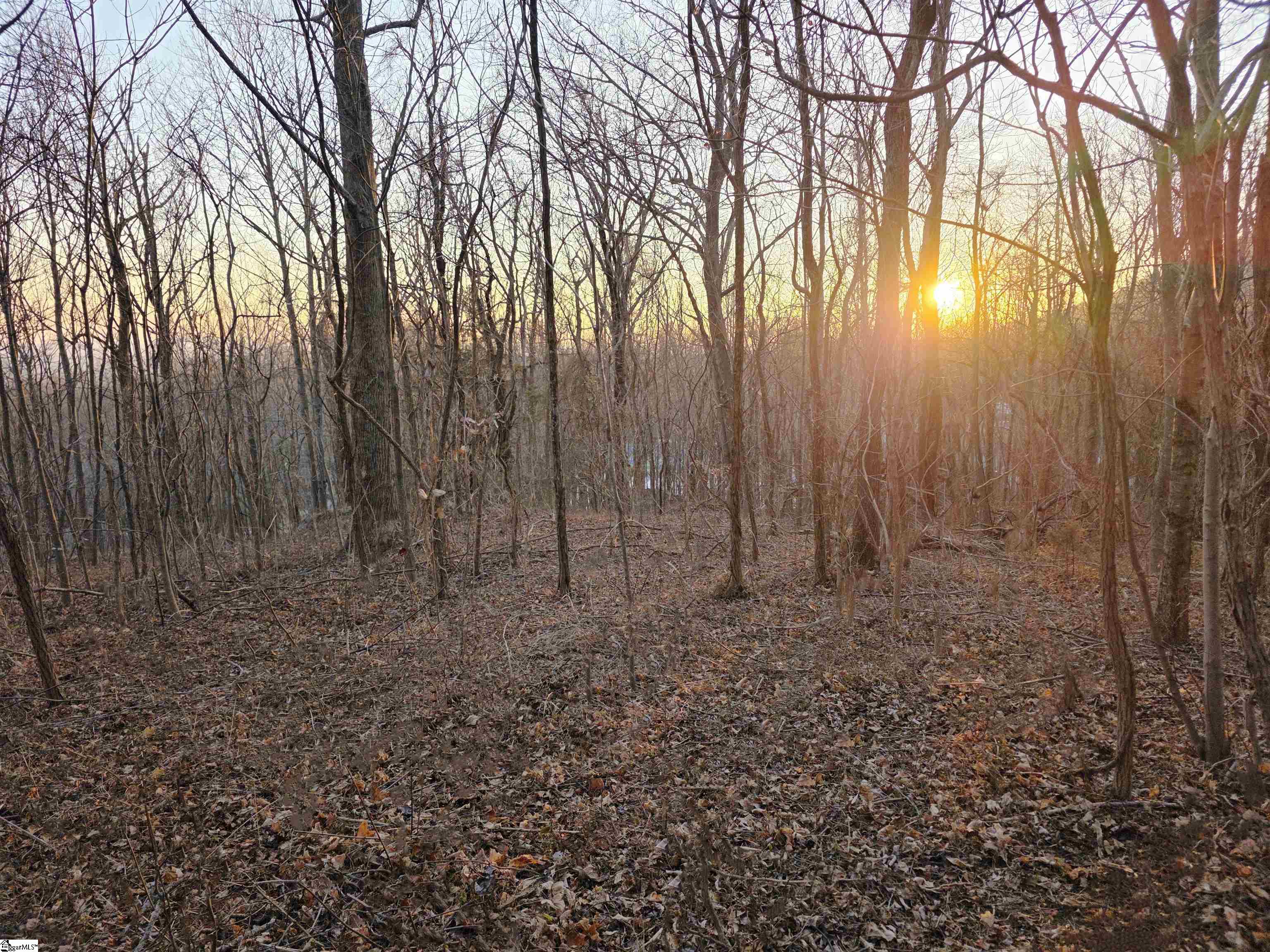 39 Raptor Way Landrum, SC 29356 - Photo 6 of 47