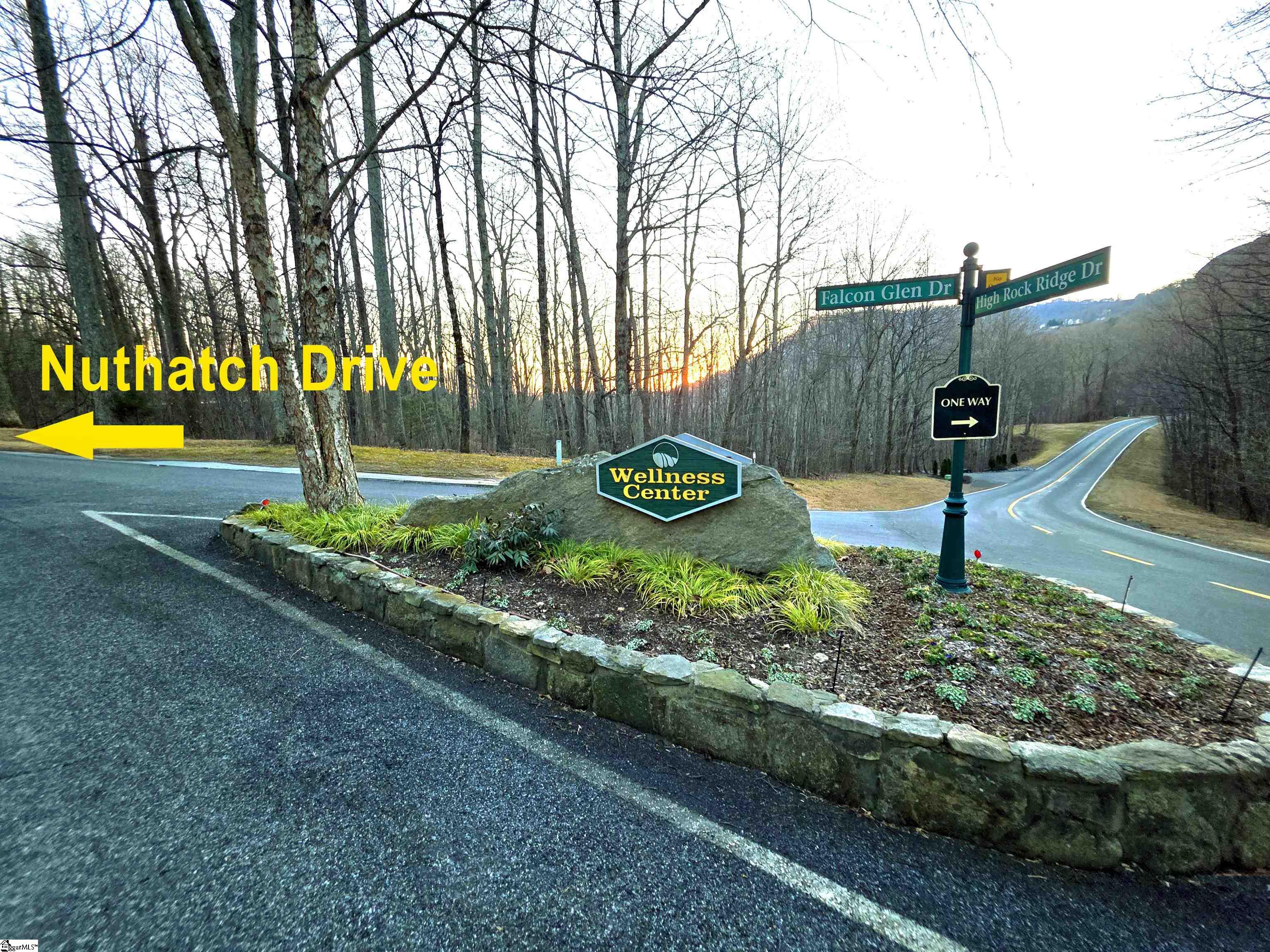 39 Raptor Way Landrum, SC 29356 - Photo 9 of 47