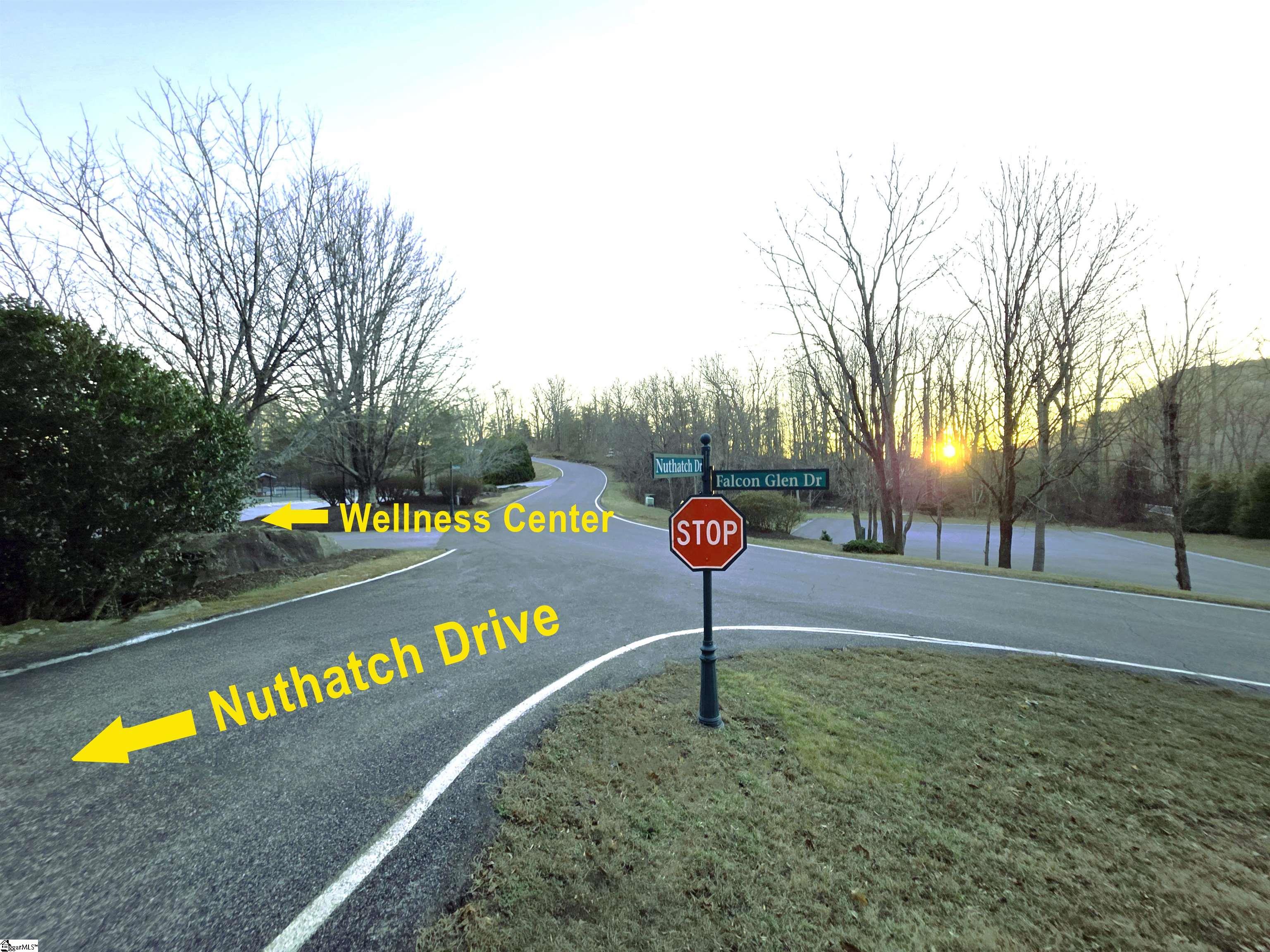 39 Raptor Way Landrum, SC 29356 - Photo 10 of 47