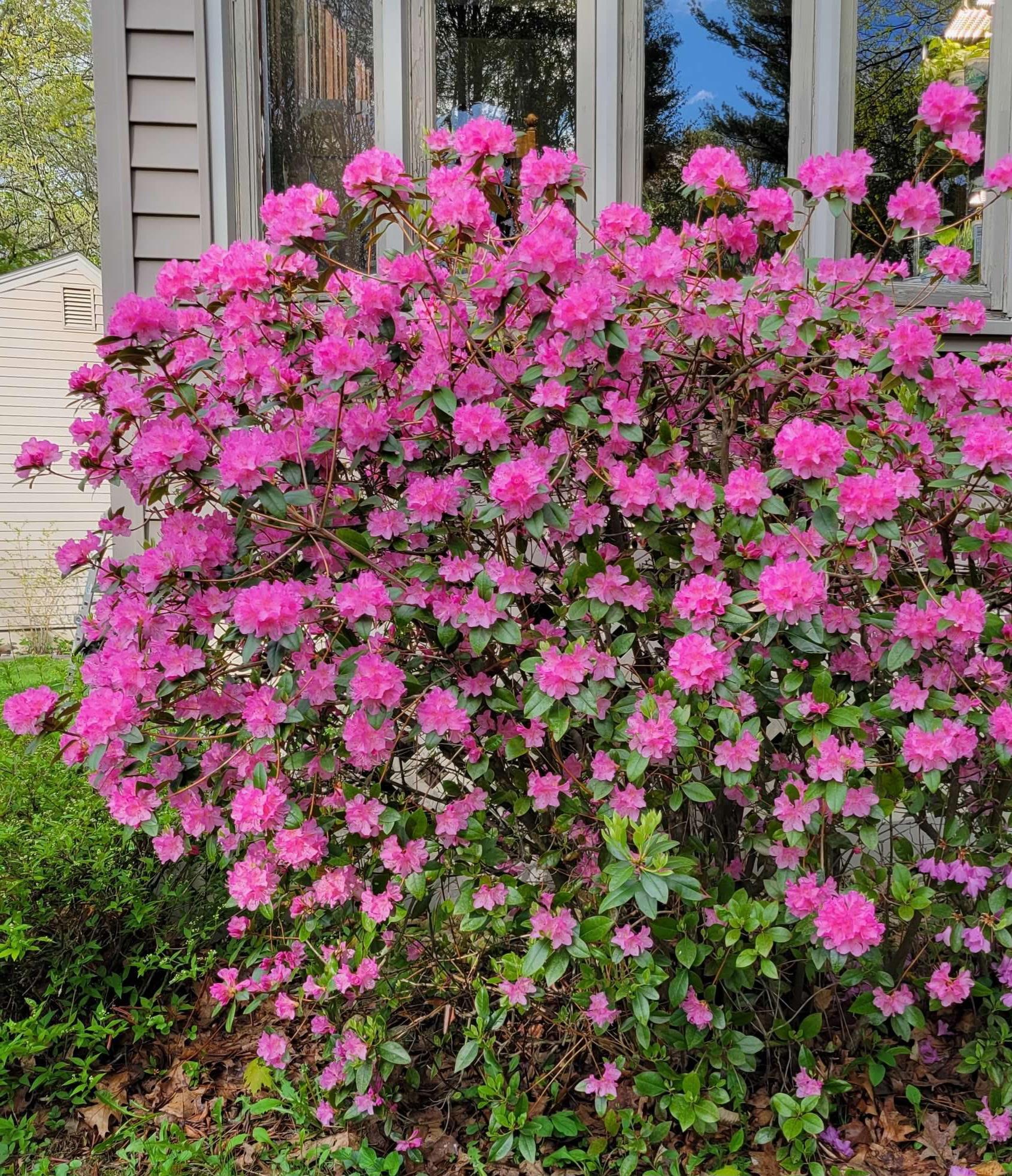 68 White Rock Hill Road Bow, NH 03304 - Photo 20 of 58