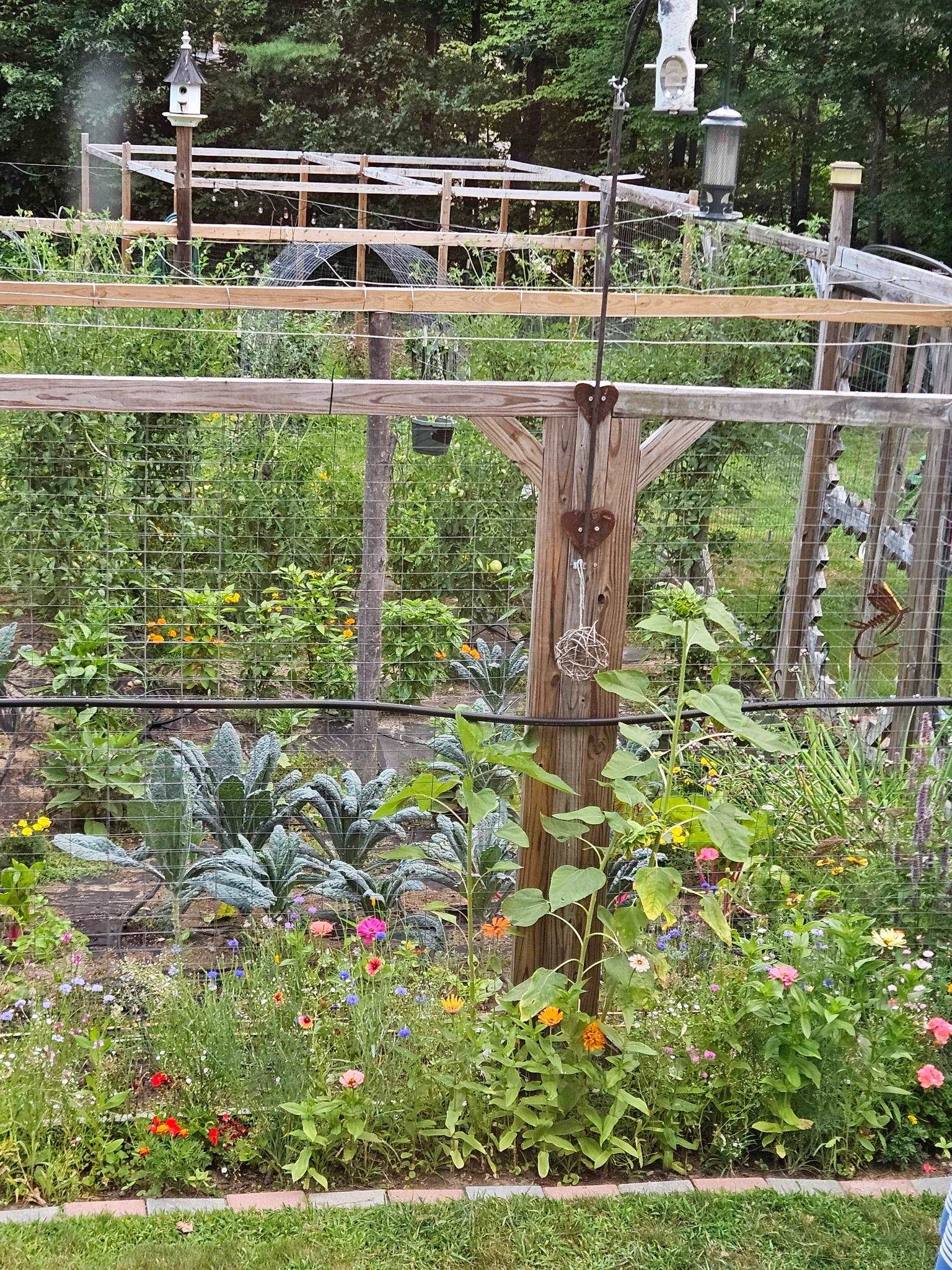 68 White Rock Hill Road Bow, NH 03304 - Photo 21 of 58