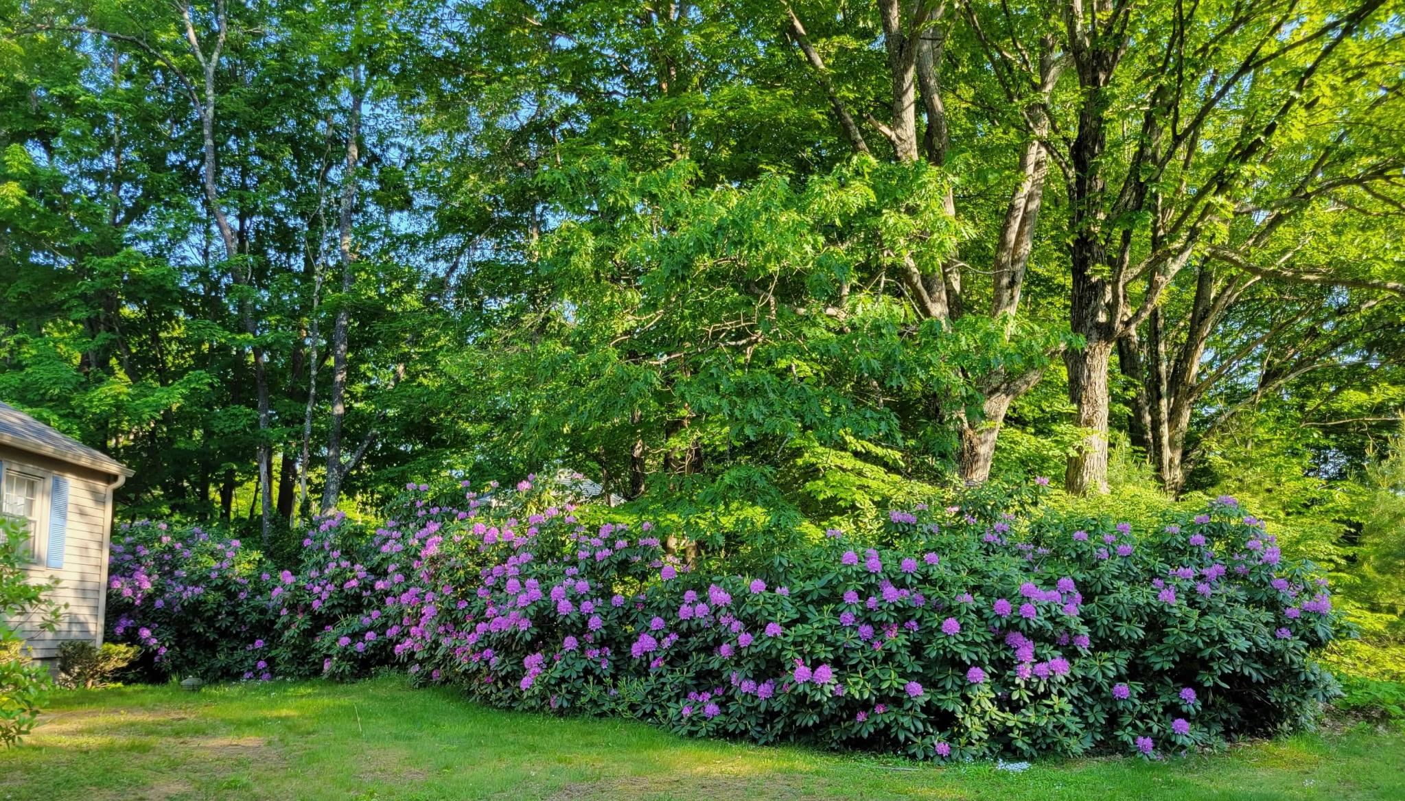 68 White Rock Hill Road Bow, NH 03304 - Photo 22 of 58