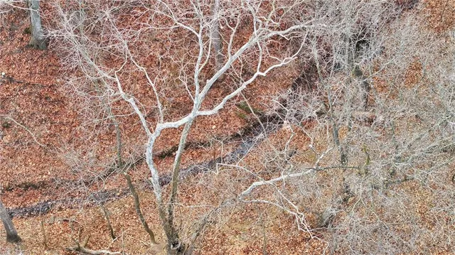 $579,900 | 4522 North Koger Road, Sibley, MO 64088