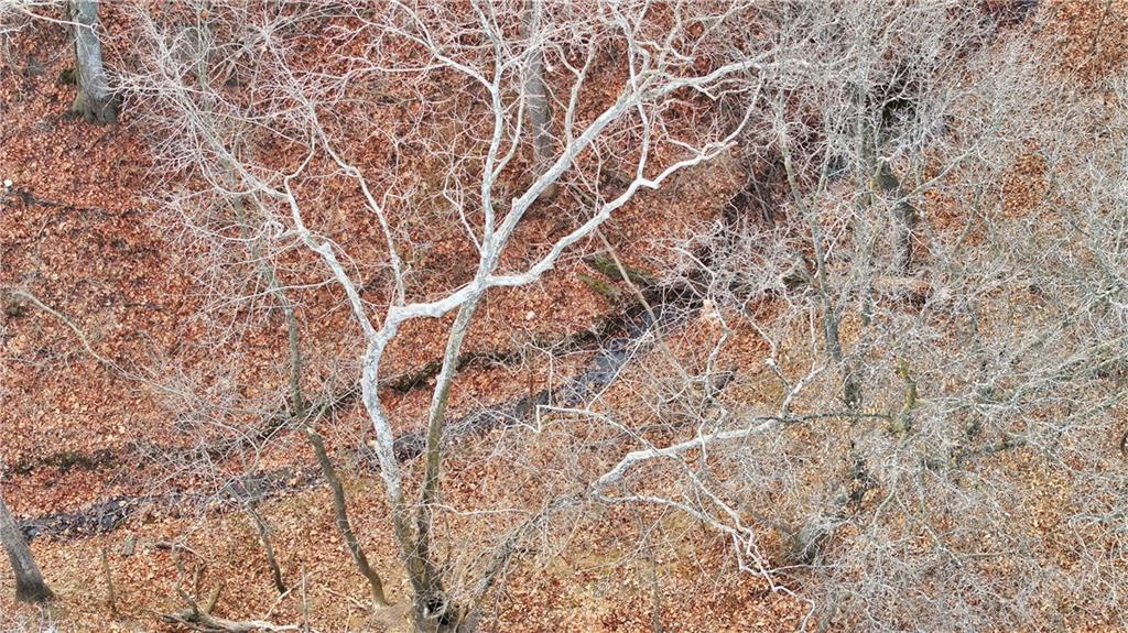 4522 North Koger Road Sibley, MO 64088 - Photo 41 of 46