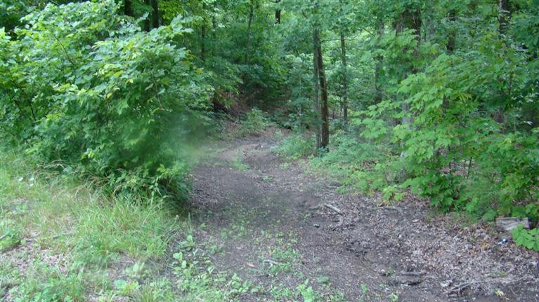 3087 Pine Ridge Road Winchester, KY 40391 - Photo 1 of 10 33 acres of land -- less than $1400 per