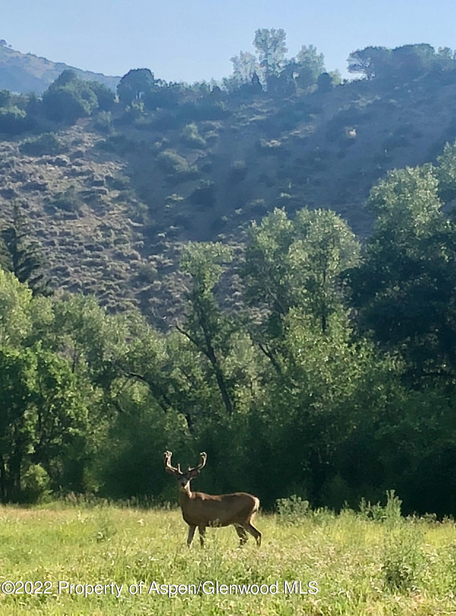 3500 Snowmass Creek Road Snowmass, CO 81654 - Photo 47 of 64 a view of outdoor space and mountain view