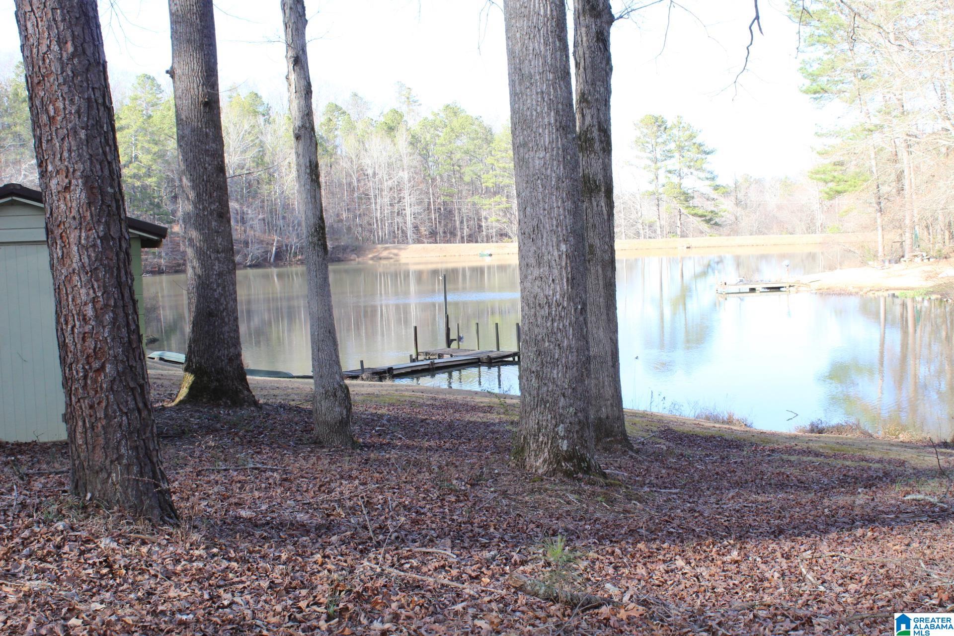 253 County Road 921 Delta, AL 36258 - Photo 30 of 36