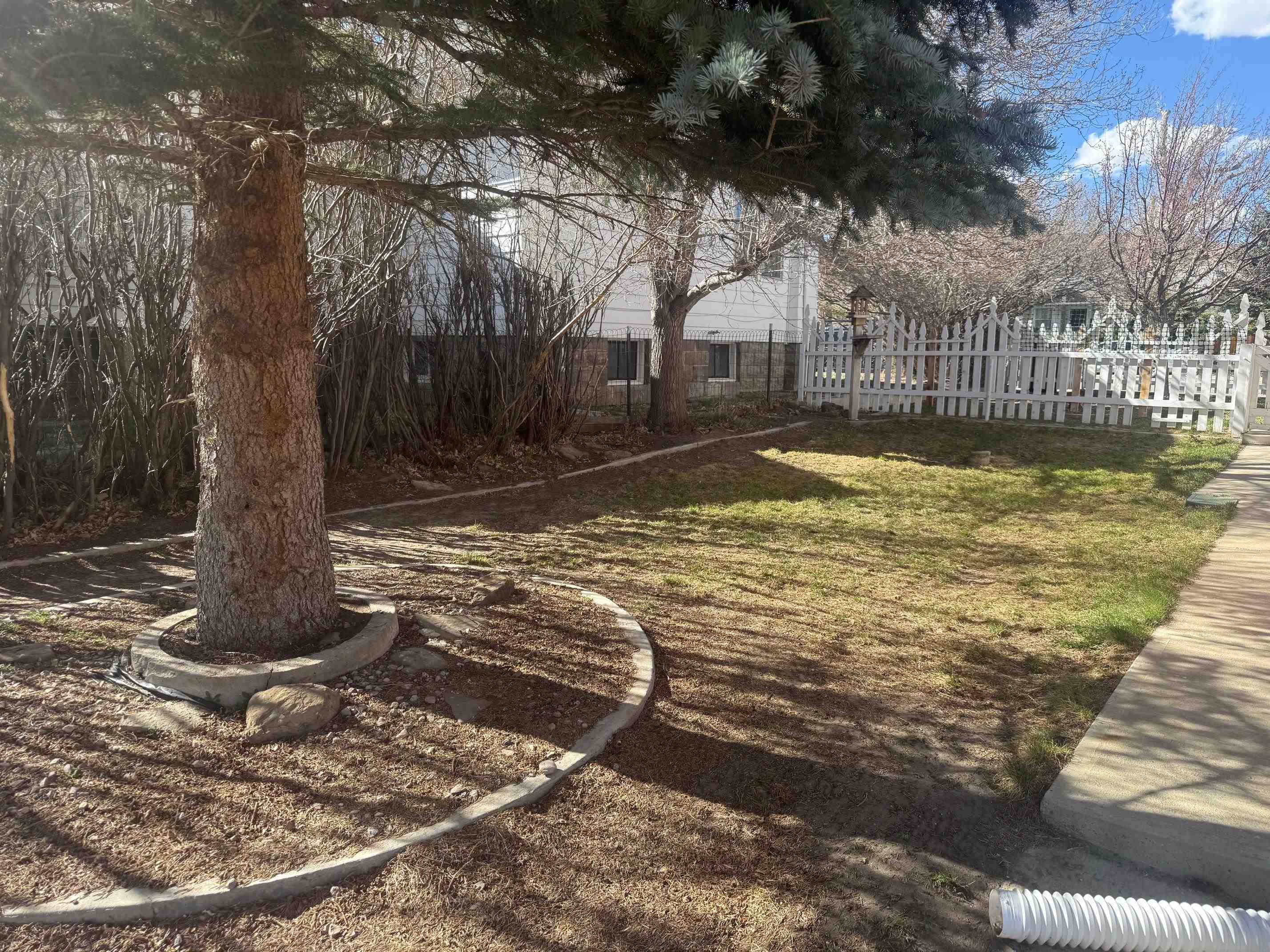 314 West Maple Street Rawlins, WY 82301 - Photo 27 of 31