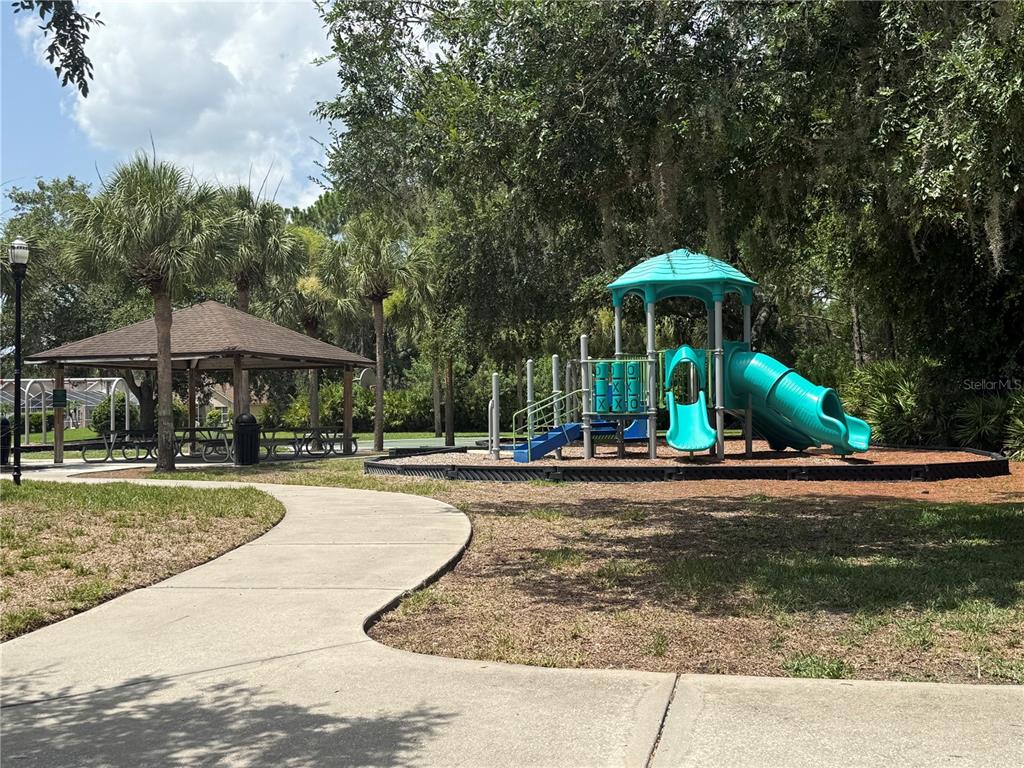 12521 Sparkleberry Road Tampa, FL 33626 - Photo 40 of 41
