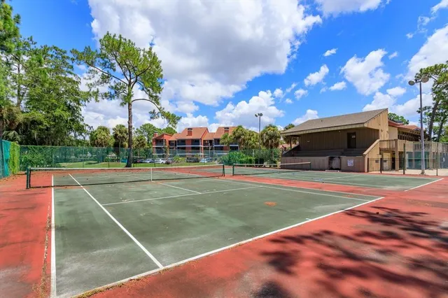 a view of a basket ball ground