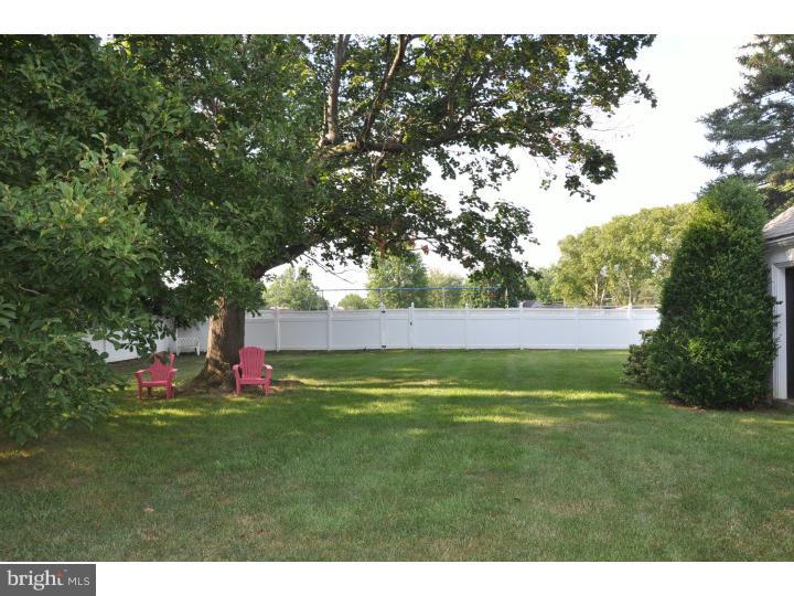 349 Valley View Road Springfield, PA 19064 - Photo 5 of 19 Back Yard