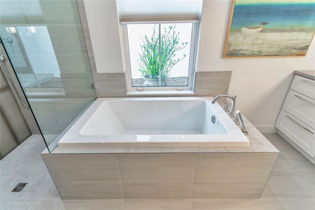 31035 Pasco Road San Antonio, FL 33576 - Photo 31 of 80 a bathroom with a bathtub