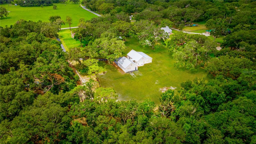 31035 Pasco Road San Antonio, FL 33576 - Photo 64 of 80 a close up of a plant in a garden