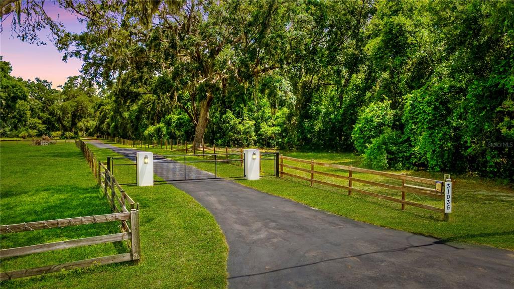 31035 Pasco Road San Antonio, FL 33576 - Photo 7 of 80