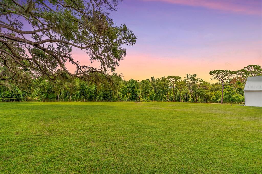 31035 Pasco Road San Antonio, FL 33576 - Photo 75 of 80