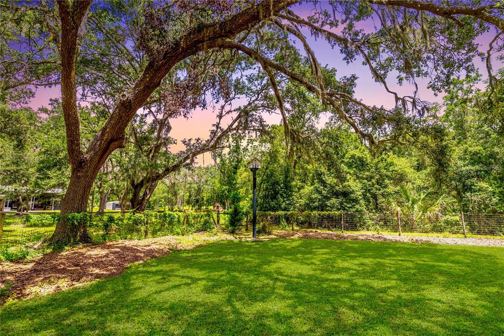 31035 Pasco Road San Antonio, FL 33576 - Photo 77 of 80