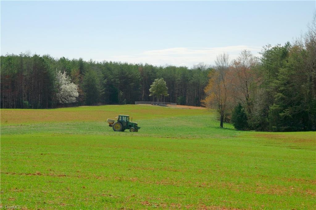 5 Old Mill Road Pinnacle, NC 27043 - Photo 9 of 23 Gallery Image 9